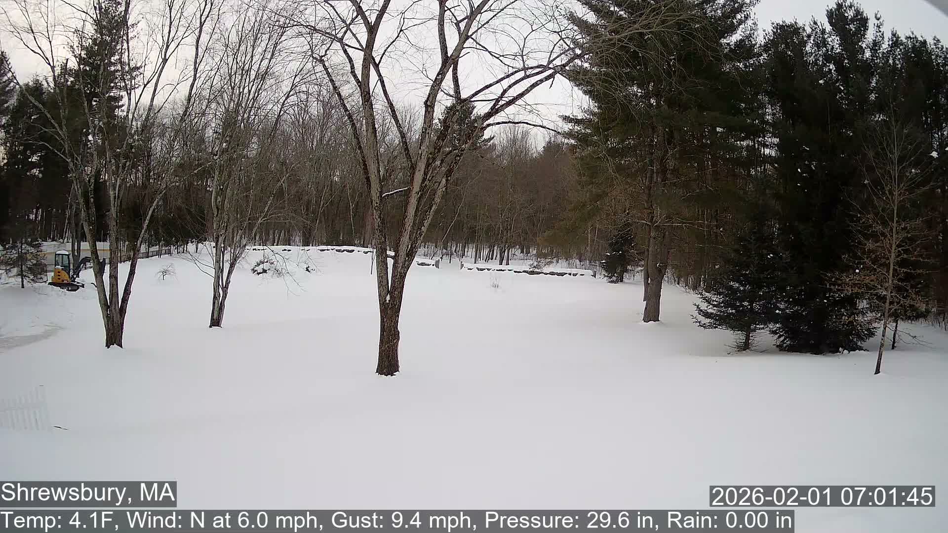 Scenic Pond and Trees Live Cam - Shrewsbury, Massachusetts , USA