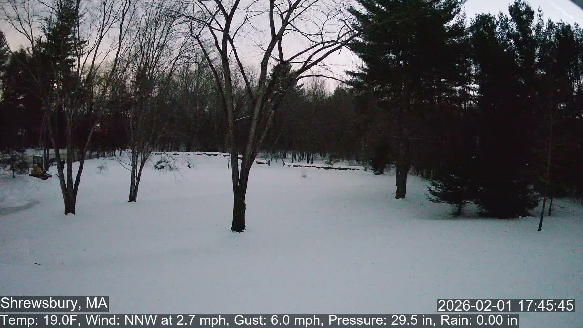 Scenic Pond and Trees Live Cam - Shrewsbury, Massachusetts , USA
