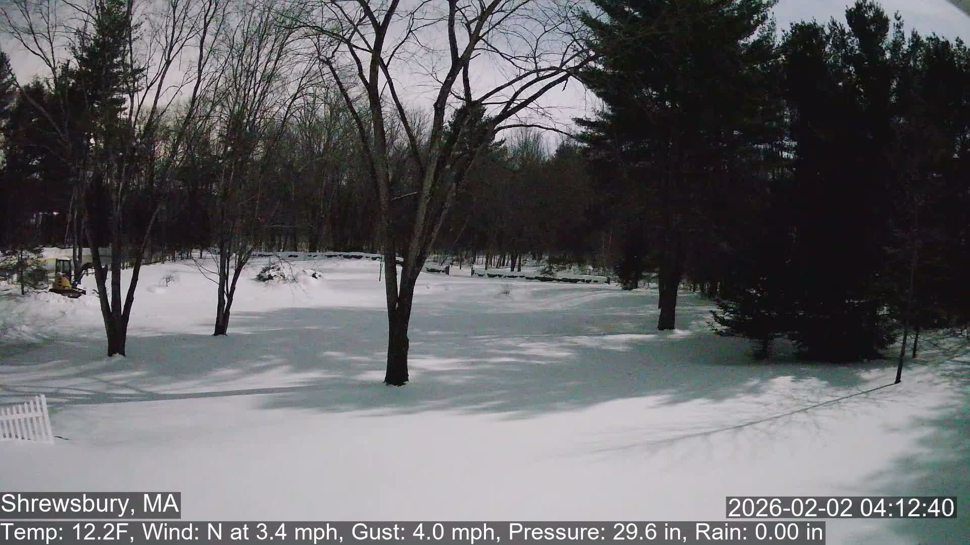 Scenic Pond and Trees Live Cam - Shrewsbury, Massachusetts , USA