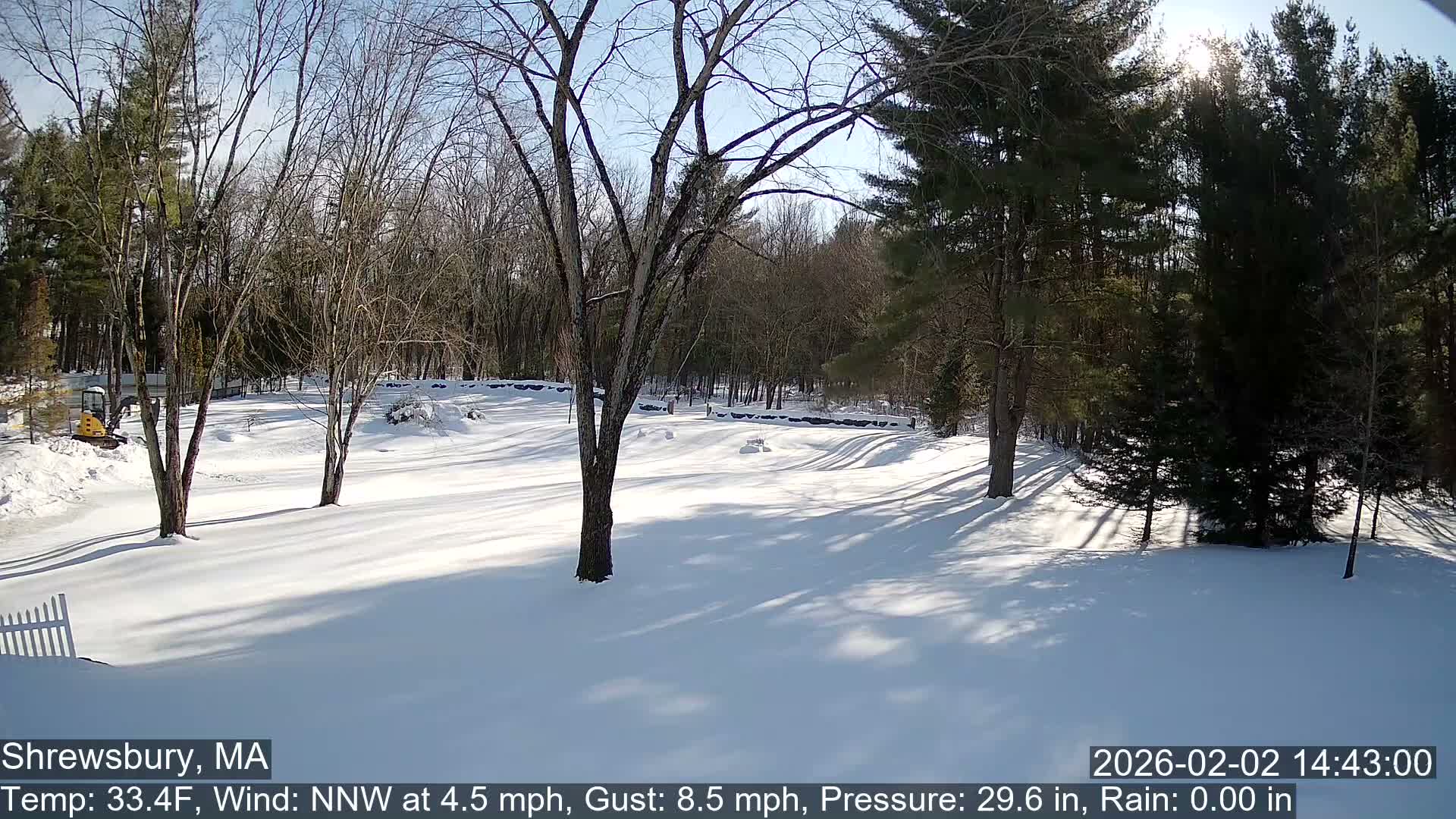 Scenic Pond and Trees Live Cam - Shrewsbury, Massachusetts , USA