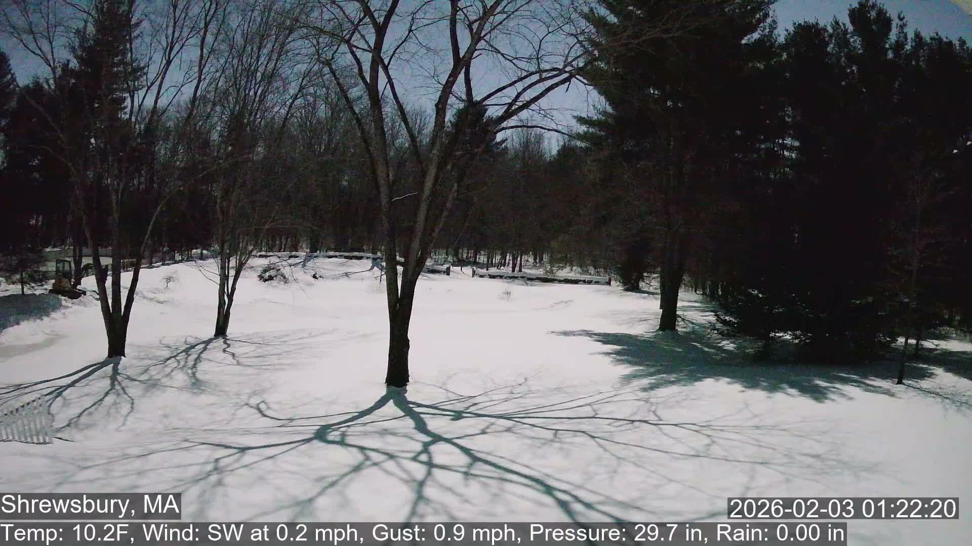 Scenic Pond and Trees Live Cam - Shrewsbury, Massachusetts , USA