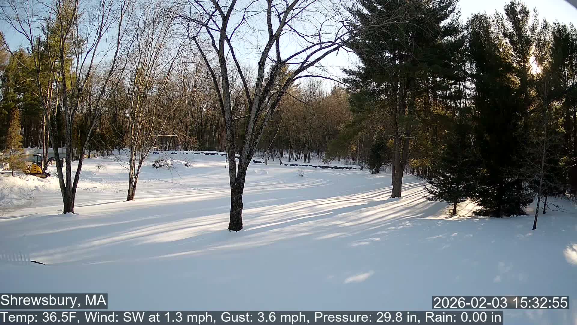 Scenic Pond and Trees Live Cam - Shrewsbury, Massachusetts , USA
