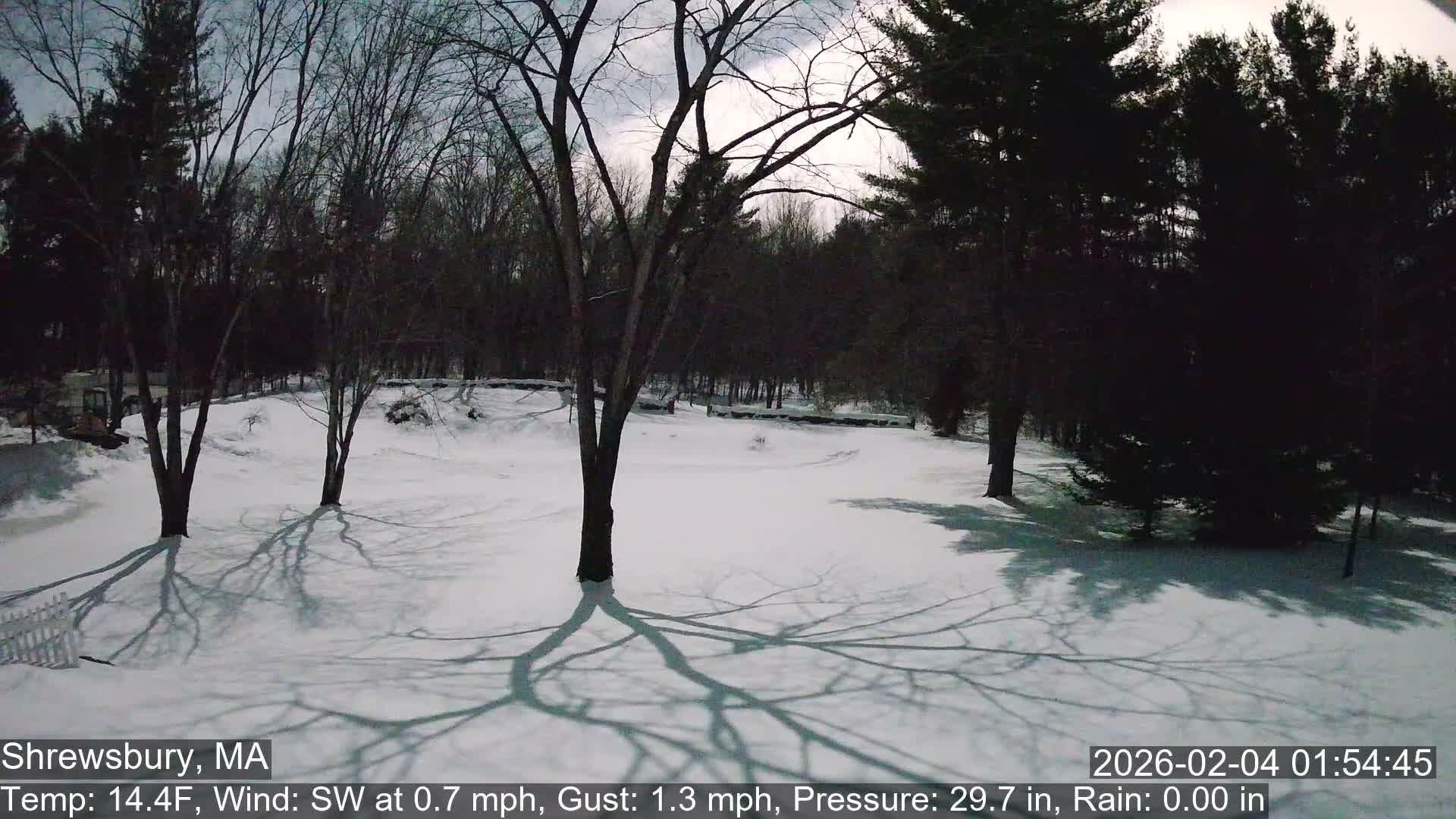 Scenic Pond and Trees Live Cam - Shrewsbury, Massachusetts , USA