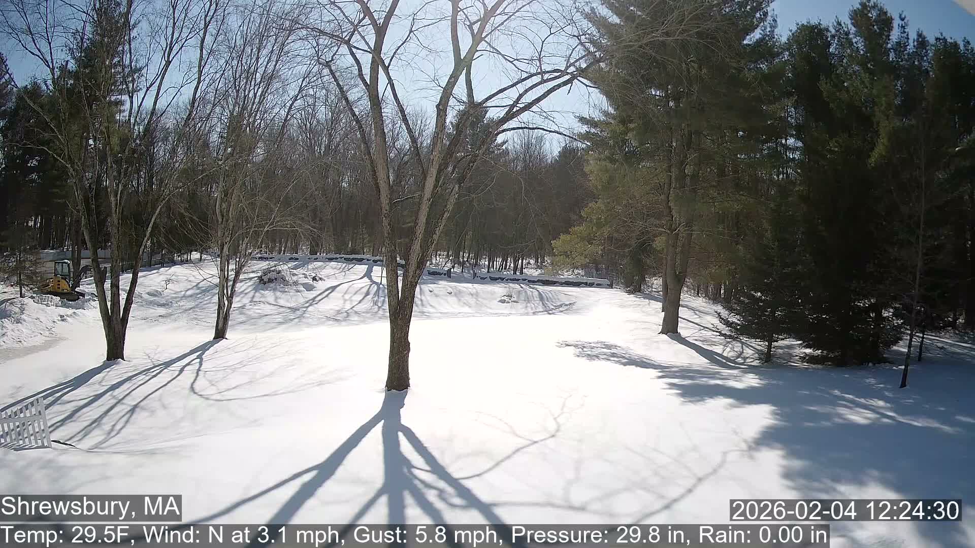 Scenic Pond and Trees Live Cam - Shrewsbury, Massachusetts , USA