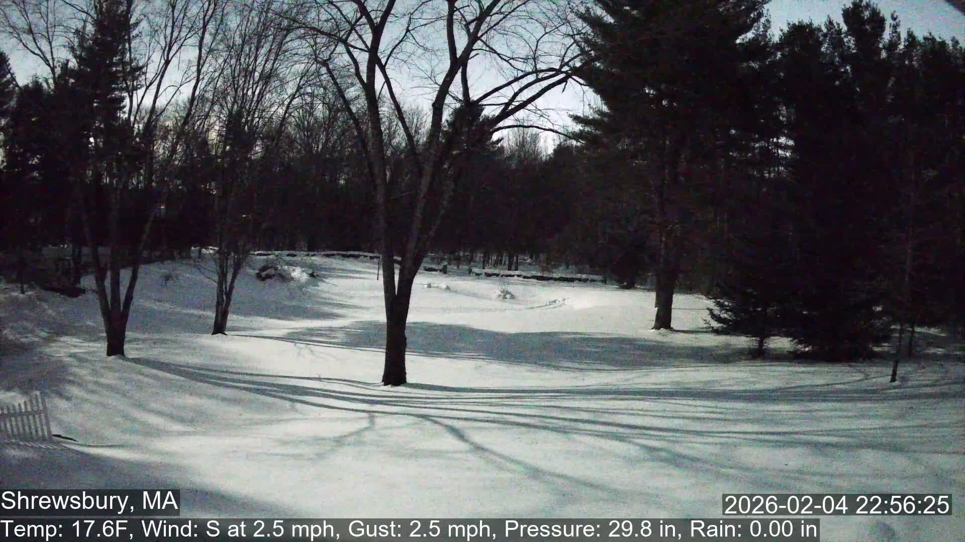 Scenic Pond and Trees Live Cam - Shrewsbury, Massachusetts , USA