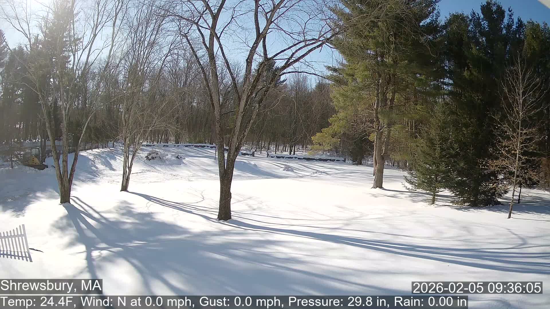 Scenic Pond and Trees Live Cam - Shrewsbury, Massachusetts , USA