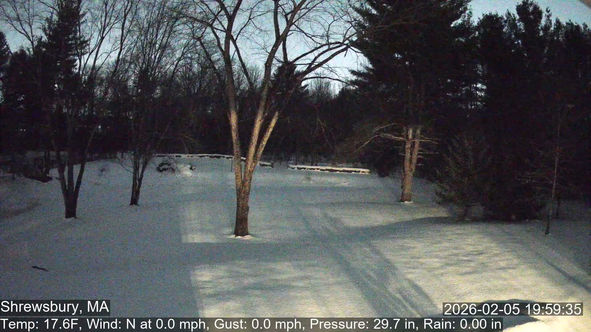 Scenic Pond and Trees Live Cam - Shrewsbury, Massachusetts , USA