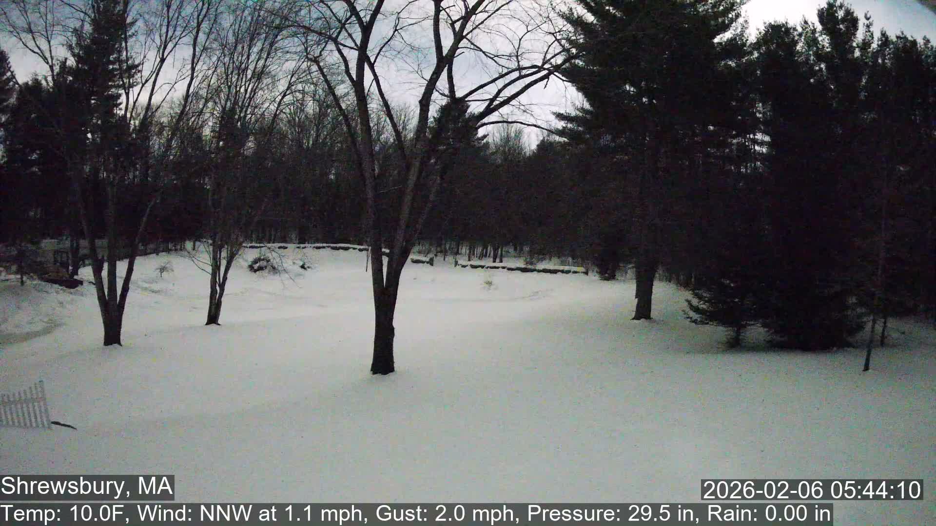Scenic Pond and Trees Live Cam - Shrewsbury, Massachusetts , USA