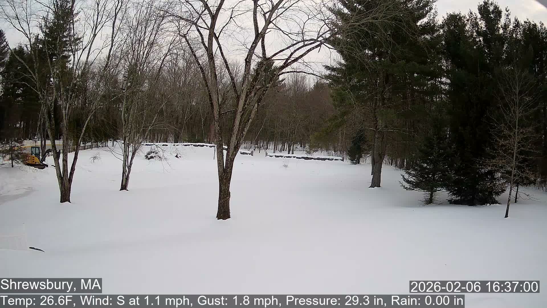 Scenic Pond and Trees Live Cam - Shrewsbury, Massachusetts , USA