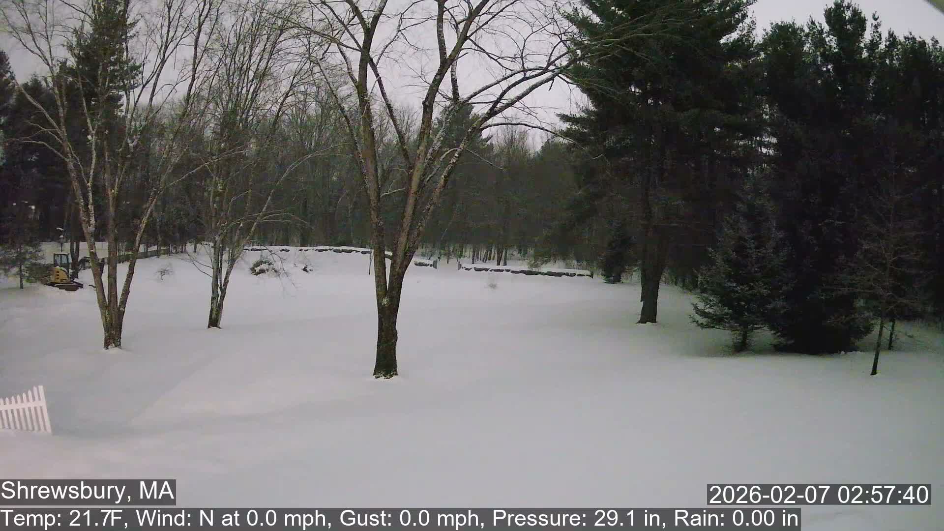 Scenic Pond and Trees Live Cam - Shrewsbury, Massachusetts , USA