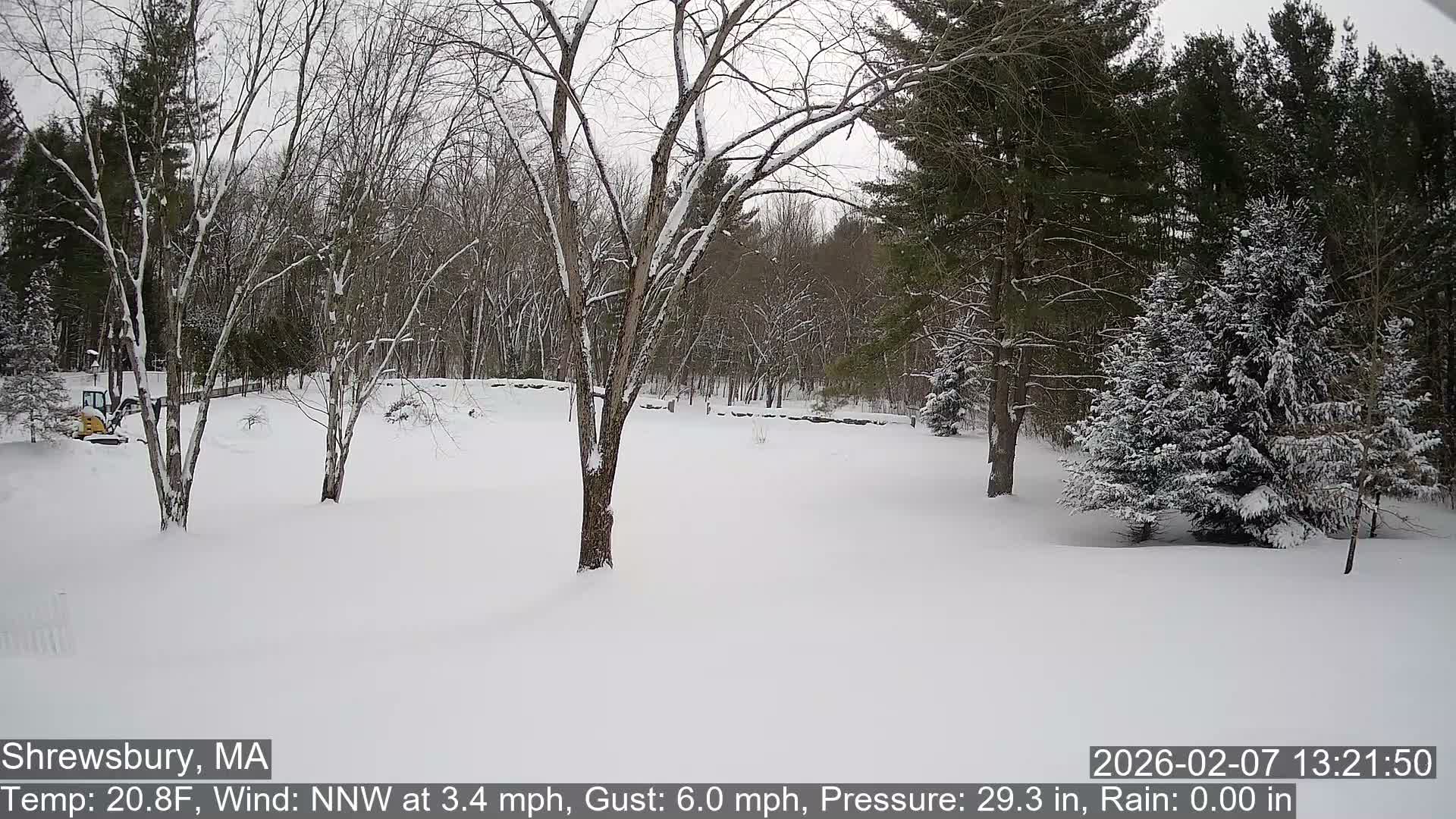 Scenic Pond and Trees Live Cam - Shrewsbury, Massachusetts , USA