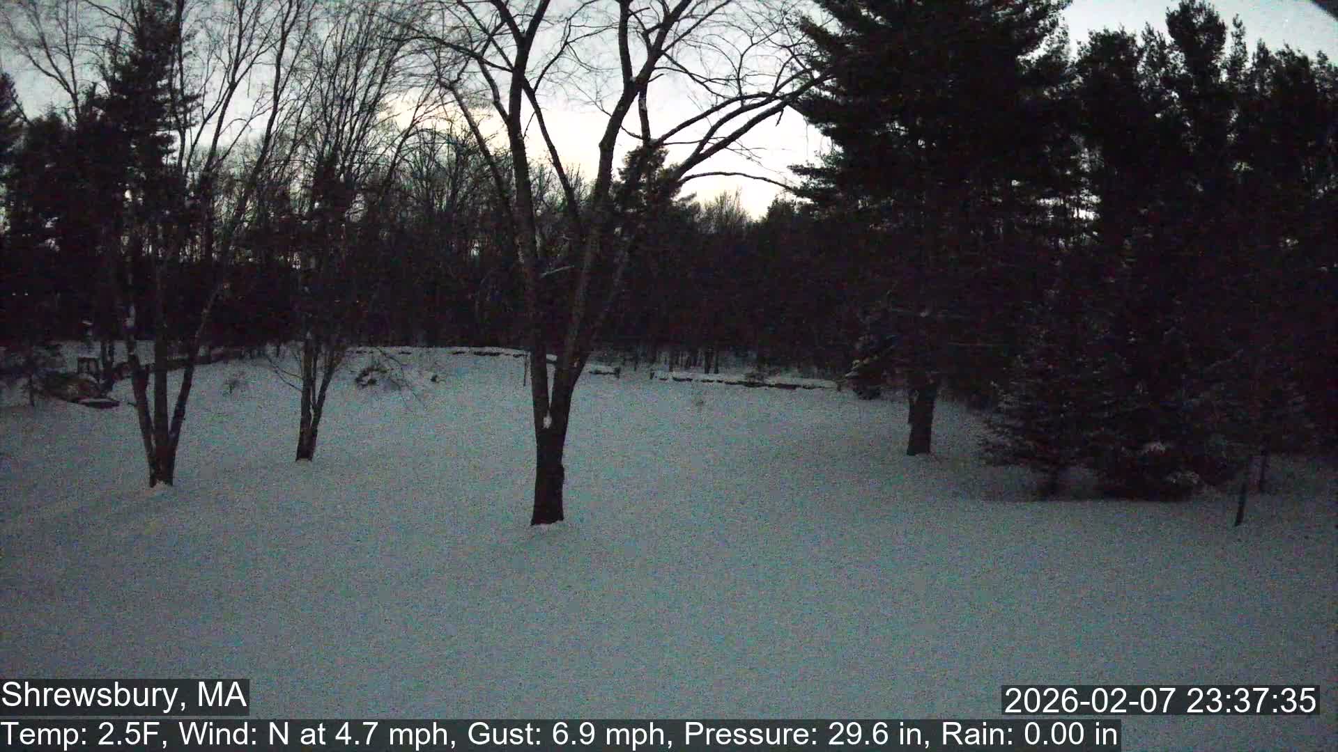 Scenic Pond and Trees Live Cam - Shrewsbury, Massachusetts , USA