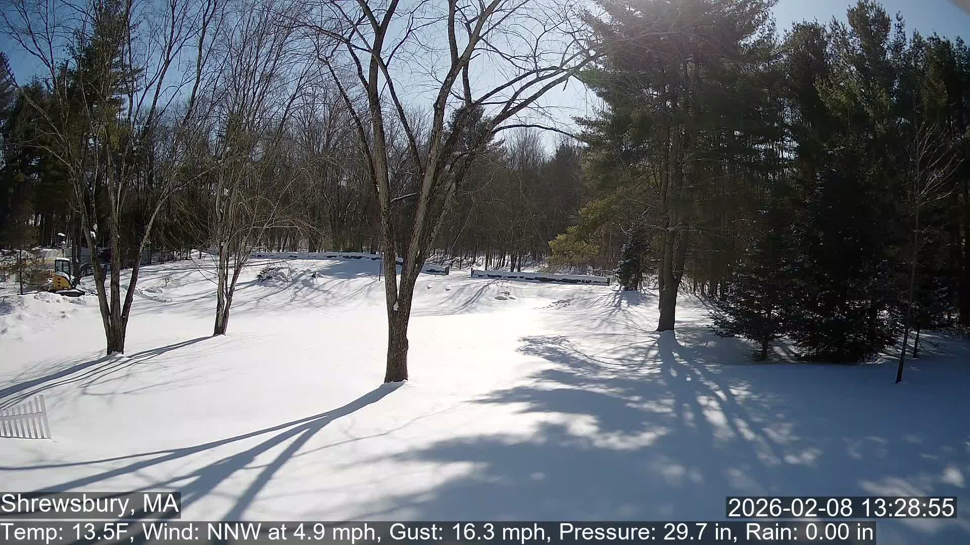 Scenic Pond and Trees Live Cam - Shrewsbury, Massachusetts , USA