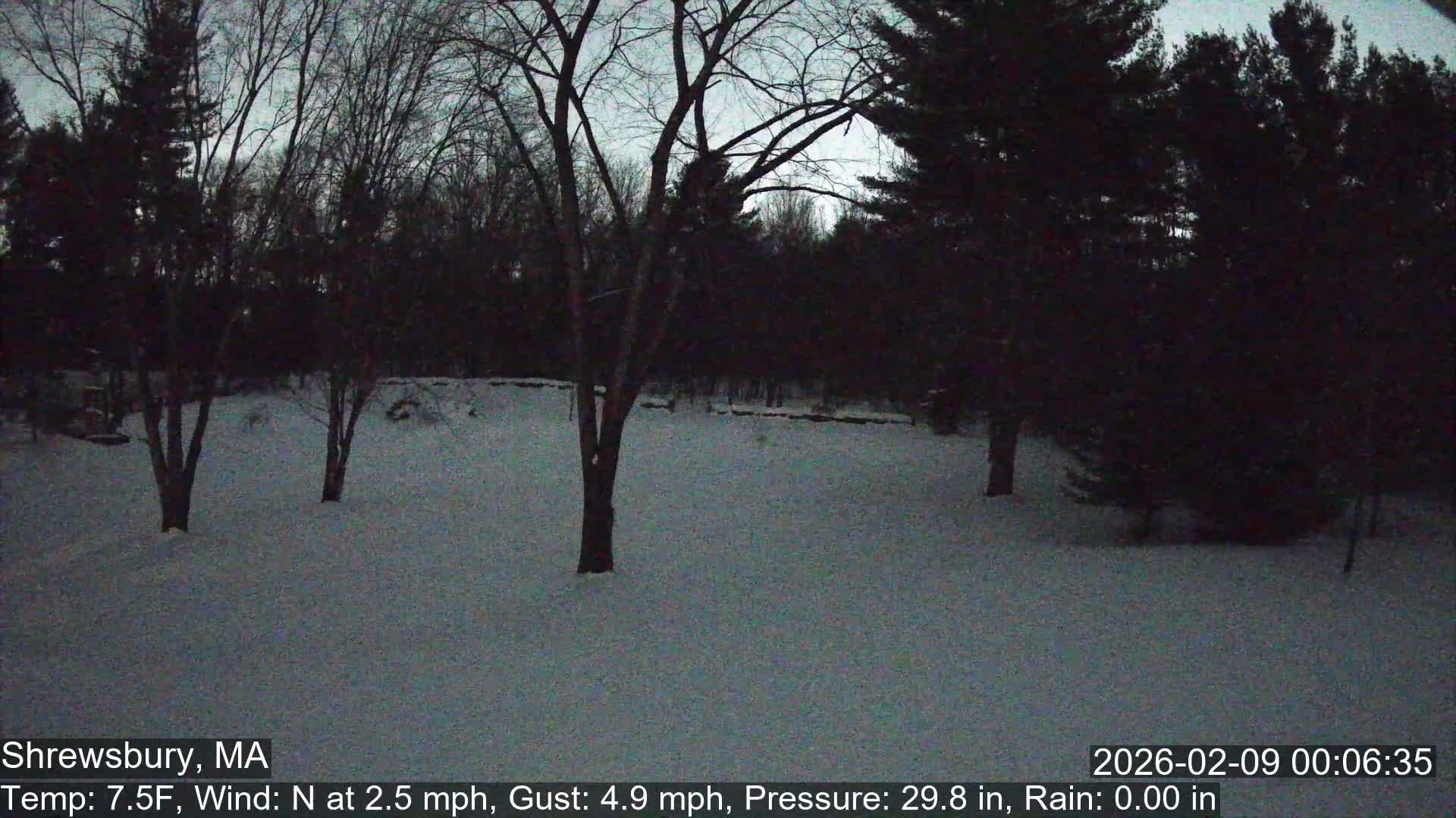 Scenic Pond and Trees Live Cam - Shrewsbury, Massachusetts , USA