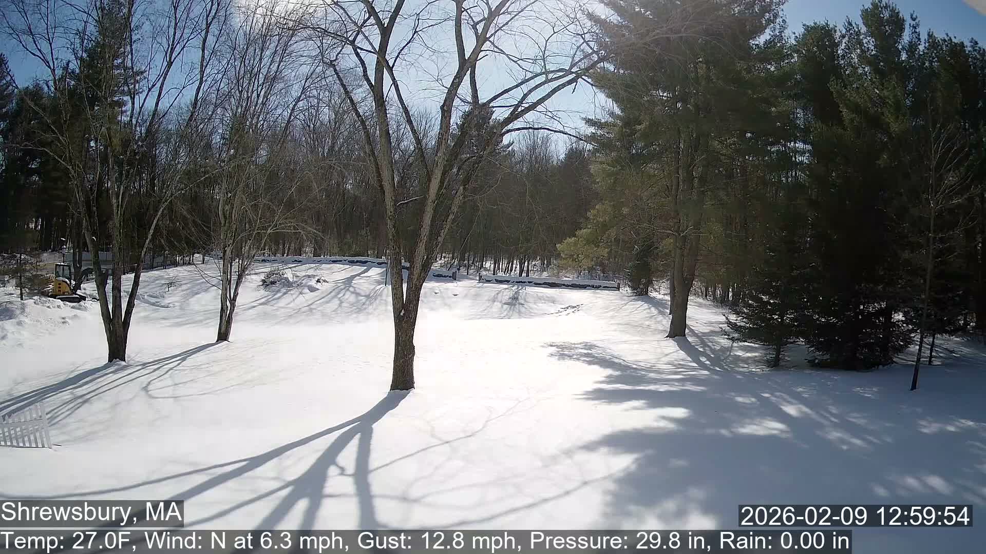 Scenic Pond and Trees Live Cam - Shrewsbury, Massachusetts , USA