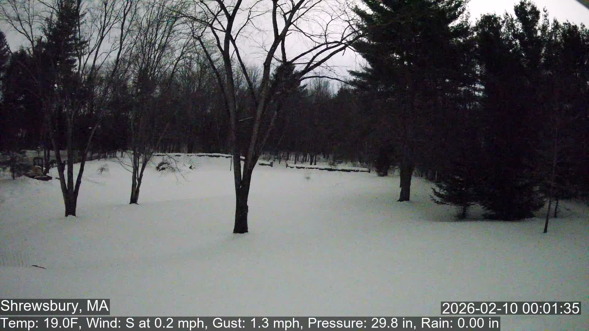 Scenic Pond and Trees Live Cam - Shrewsbury, Massachusetts , USA