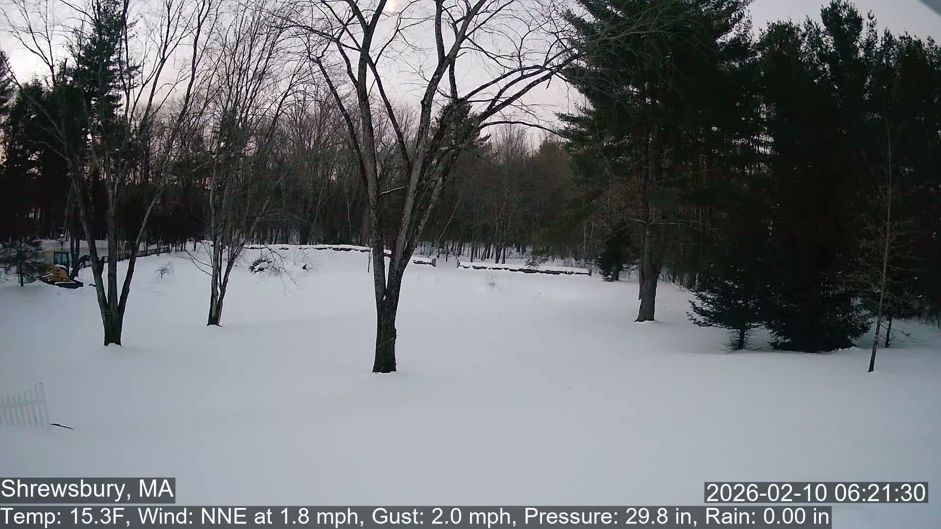 Scenic Pond and Trees Live Cam - Shrewsbury, Massachusetts , USA