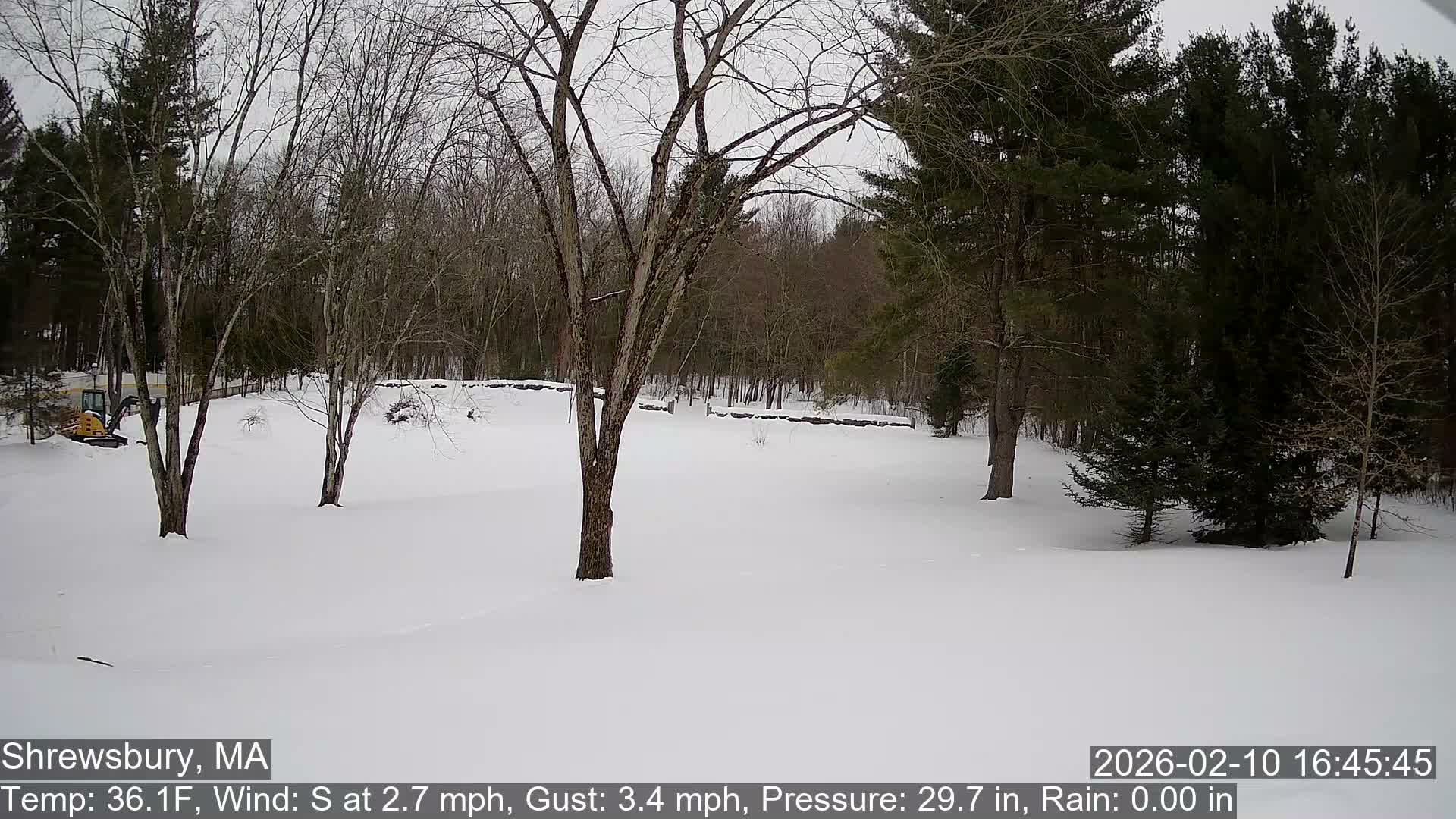 Scenic Pond and Trees Live Cam - Shrewsbury, Massachusetts , USA