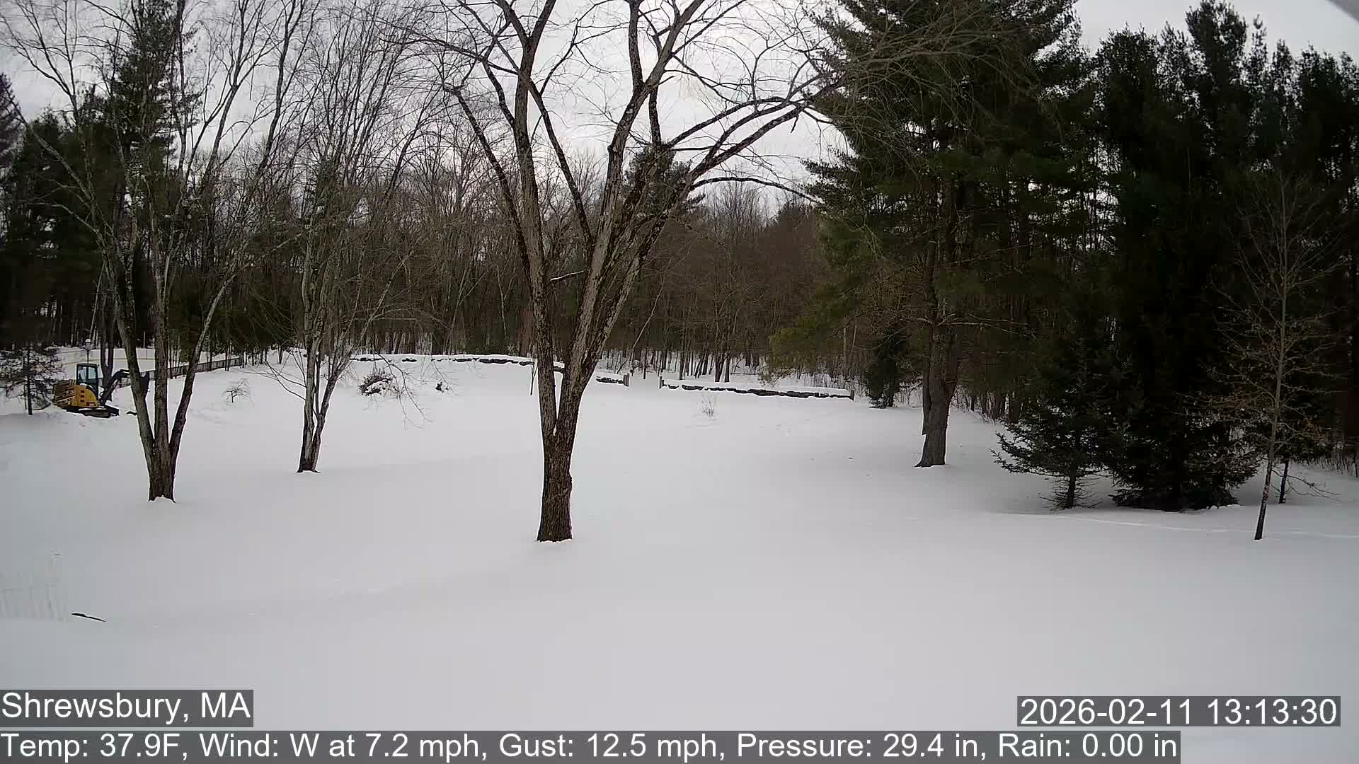 Scenic Pond and Trees Live Cam - Shrewsbury, Massachusetts , USA