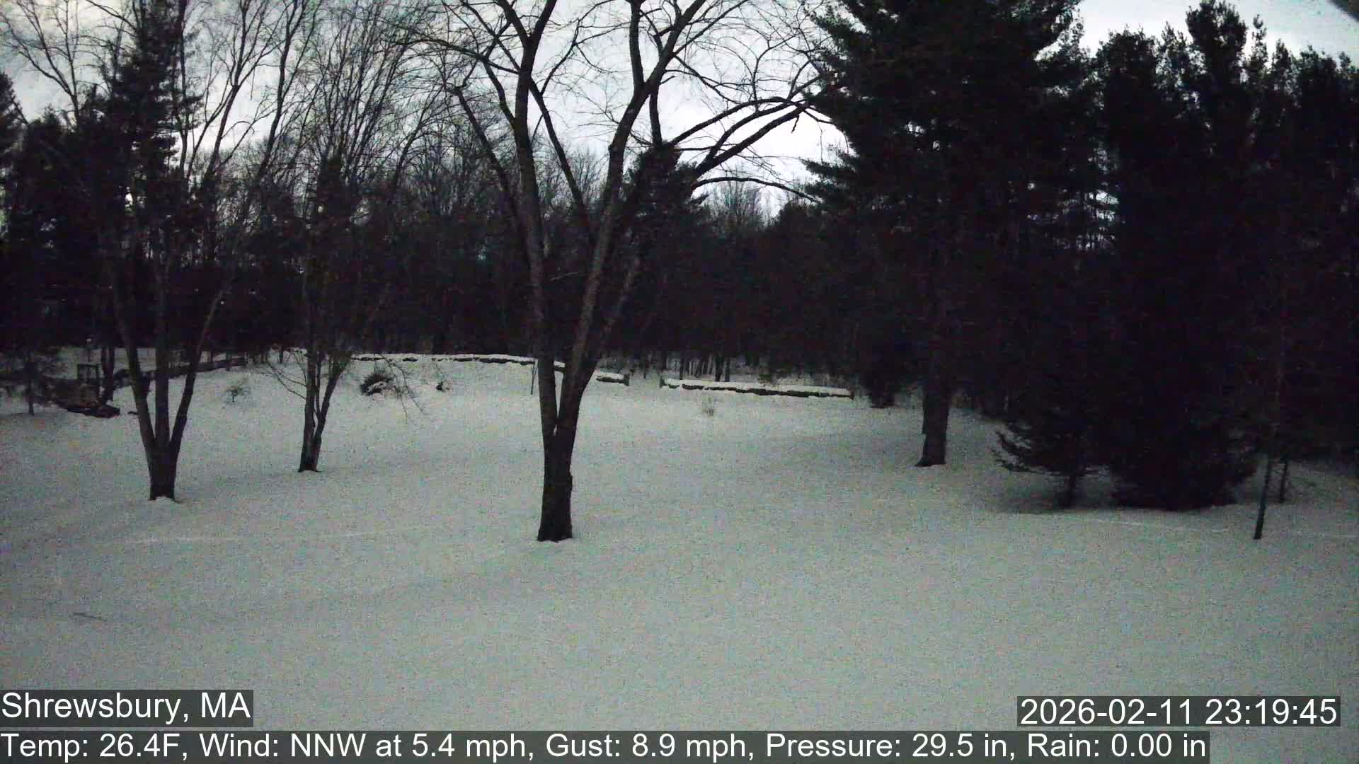 Scenic Pond and Trees Live Cam - Shrewsbury, Massachusetts , USA