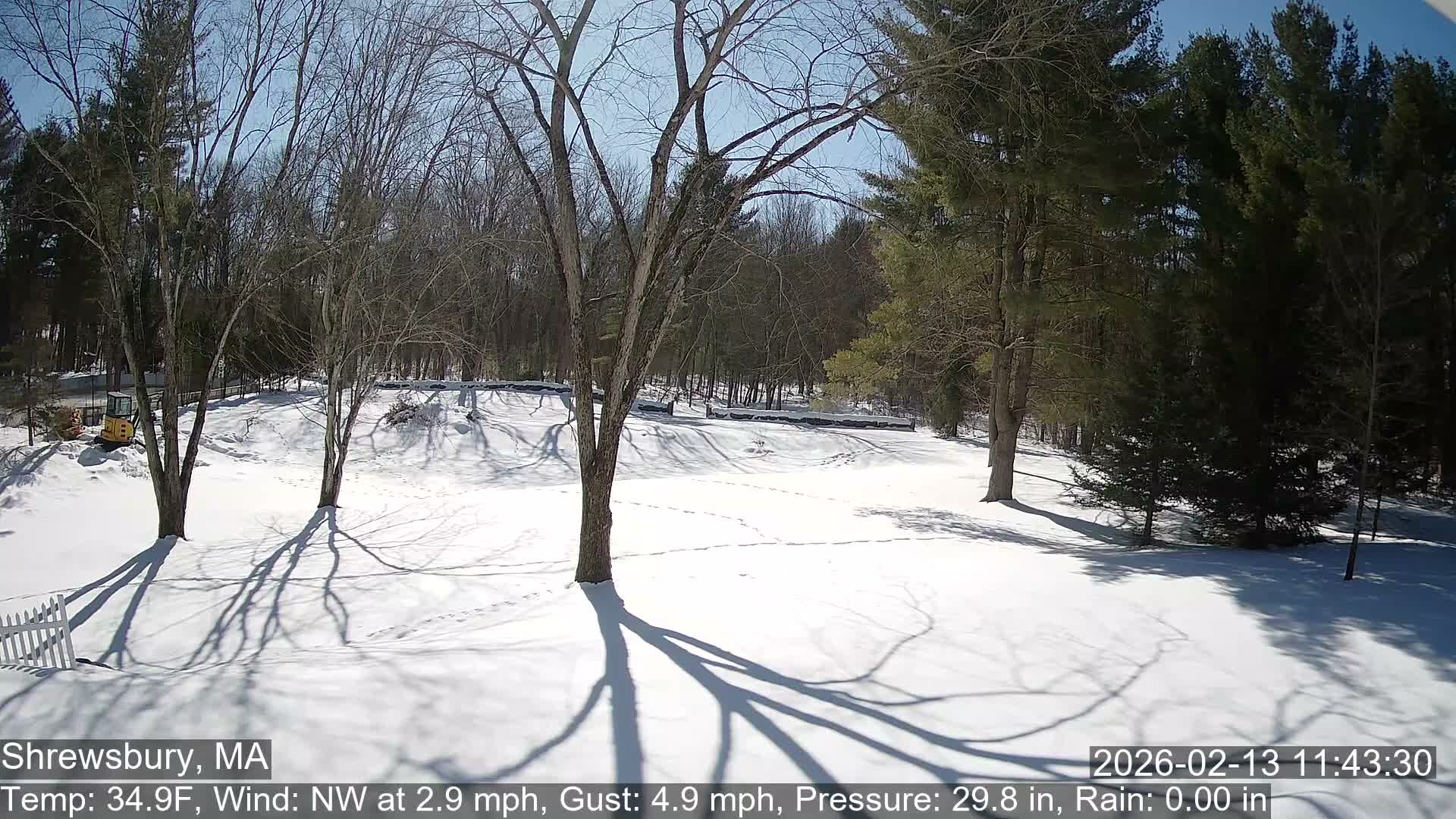 Scenic Pond and Trees Live Cam - Shrewsbury, Massachusetts , USA