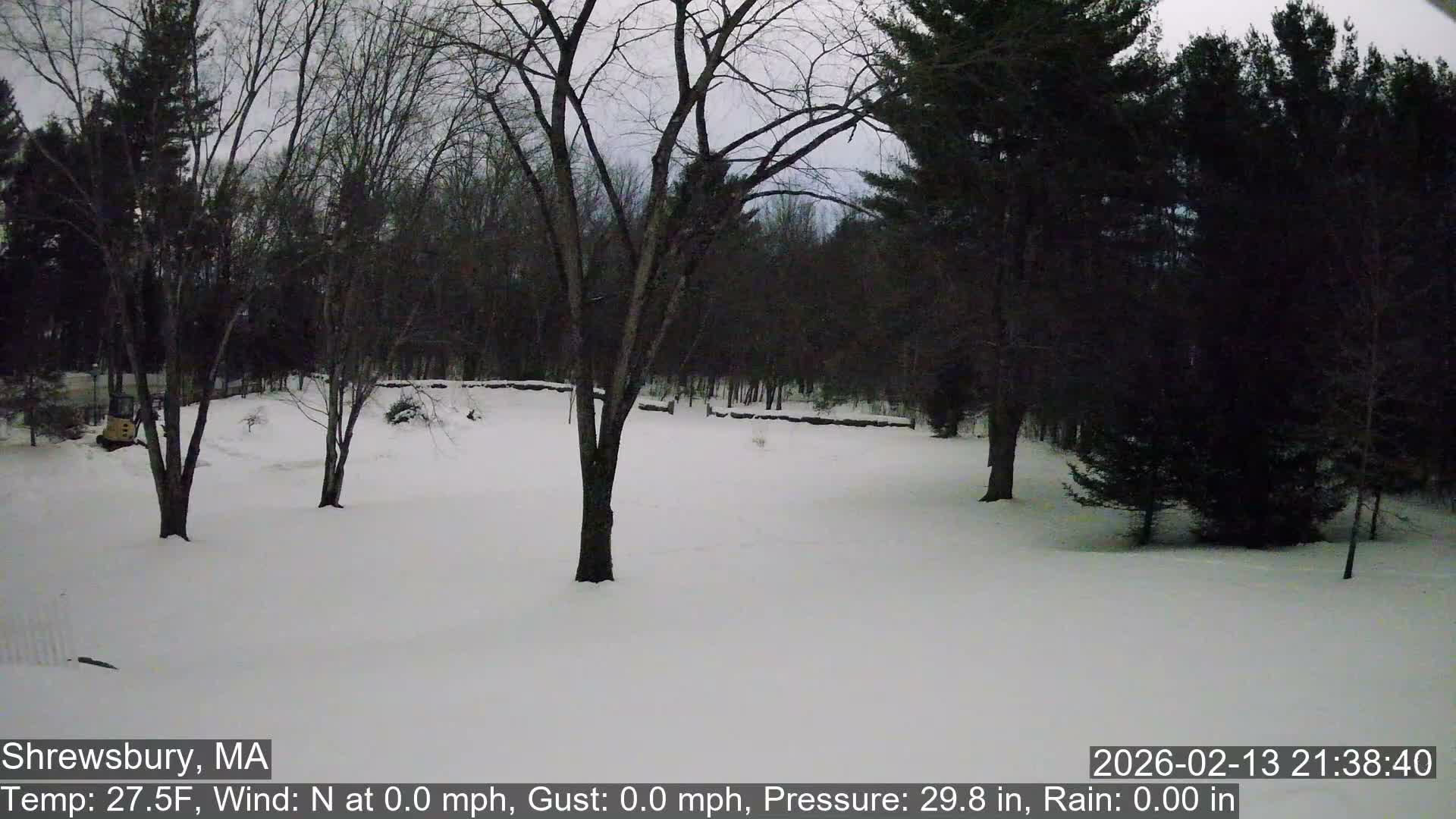 Scenic Pond and Trees Live Cam - Shrewsbury, Massachusetts , USA