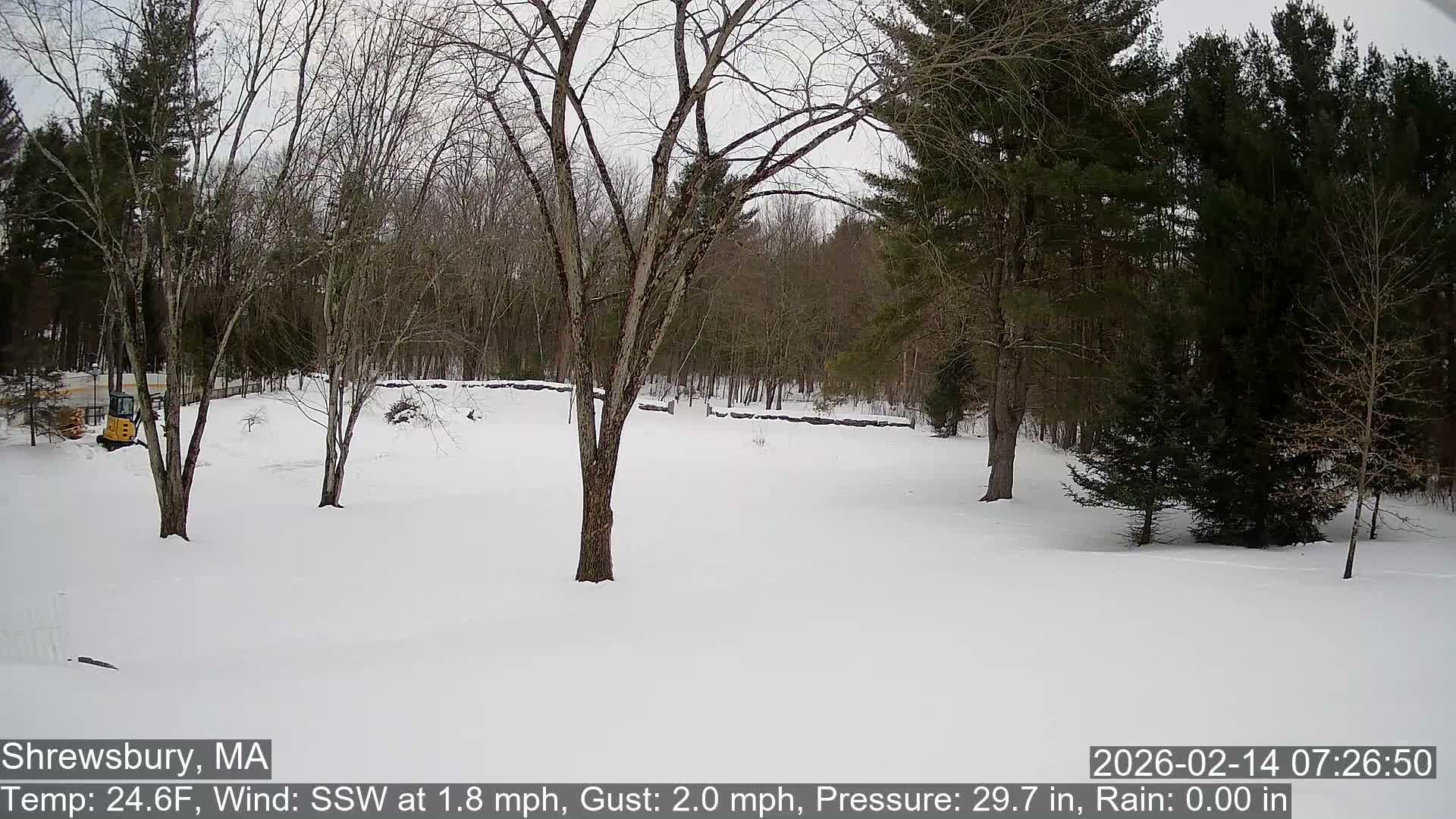Scenic Pond and Trees Live Cam - Shrewsbury, Massachusetts , USA