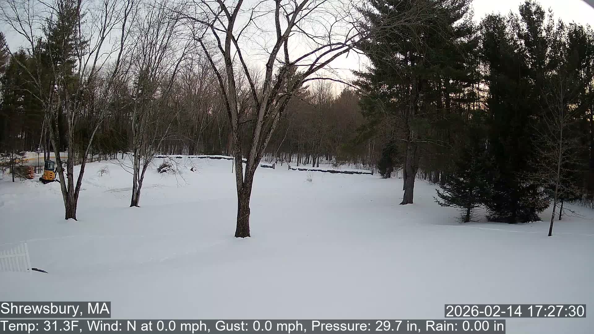 Scenic Pond and Trees Live Cam - Shrewsbury, Massachusetts , USA