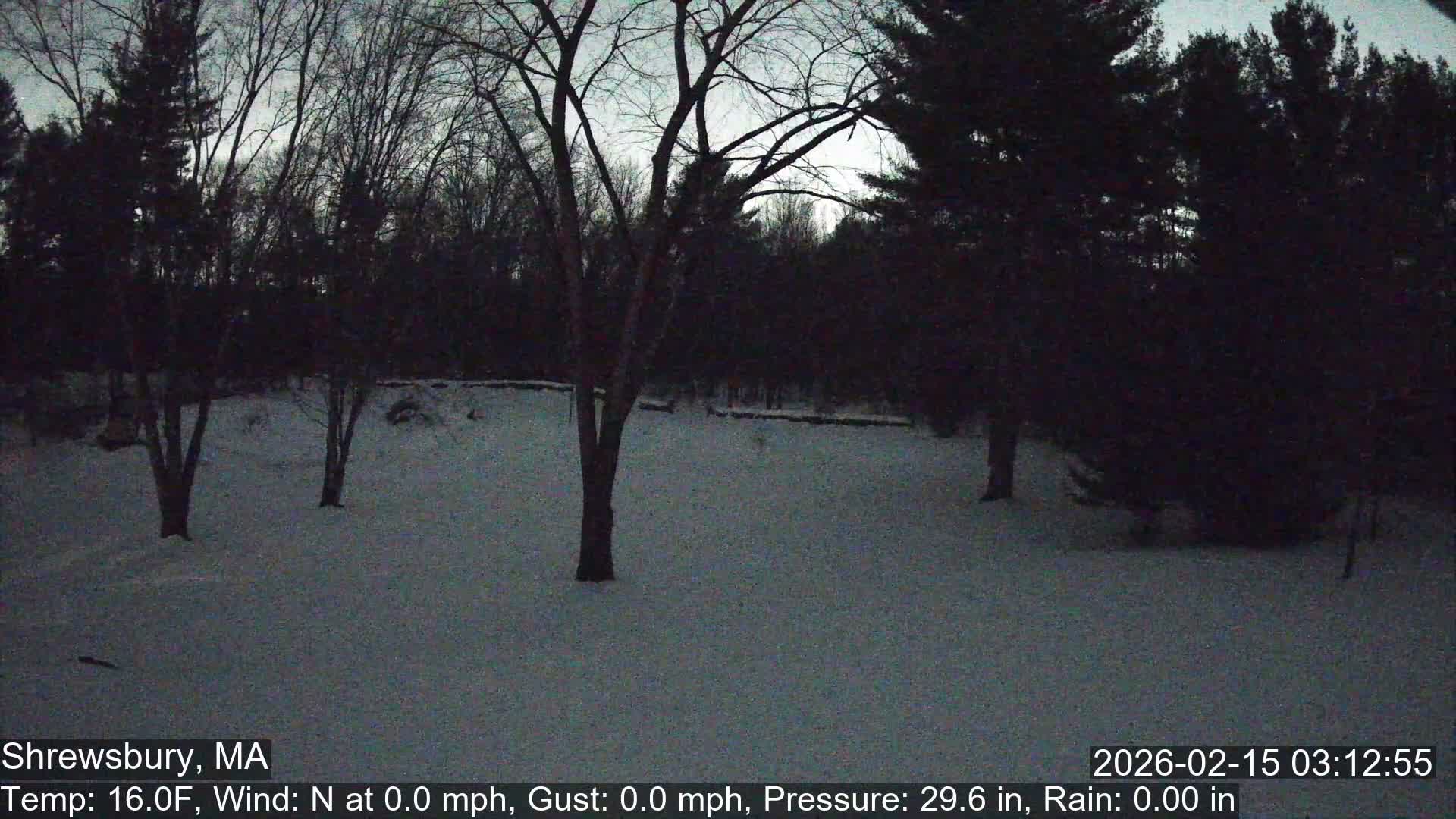 Scenic Pond and Trees Live Cam - Shrewsbury, Massachusetts , USA