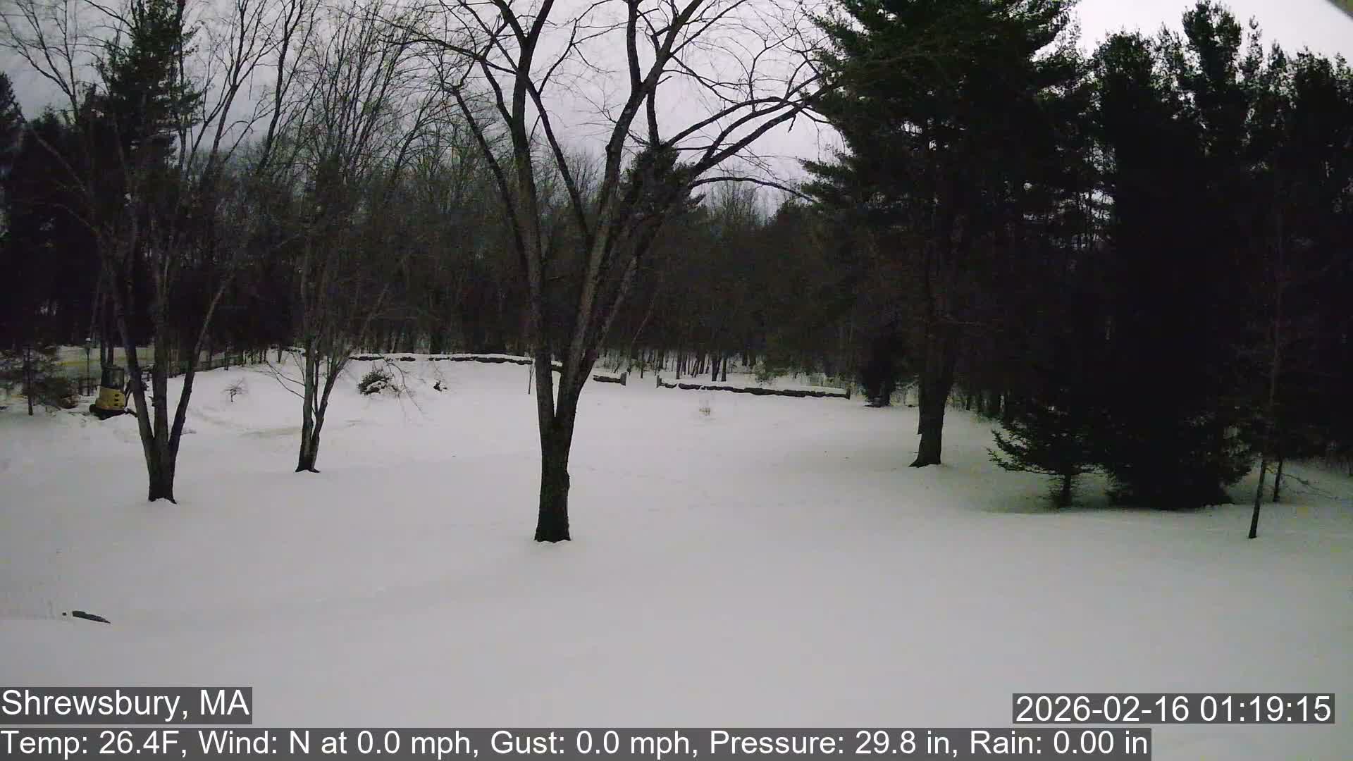 Scenic Pond and Trees Live Cam - Shrewsbury, Massachusetts , USA