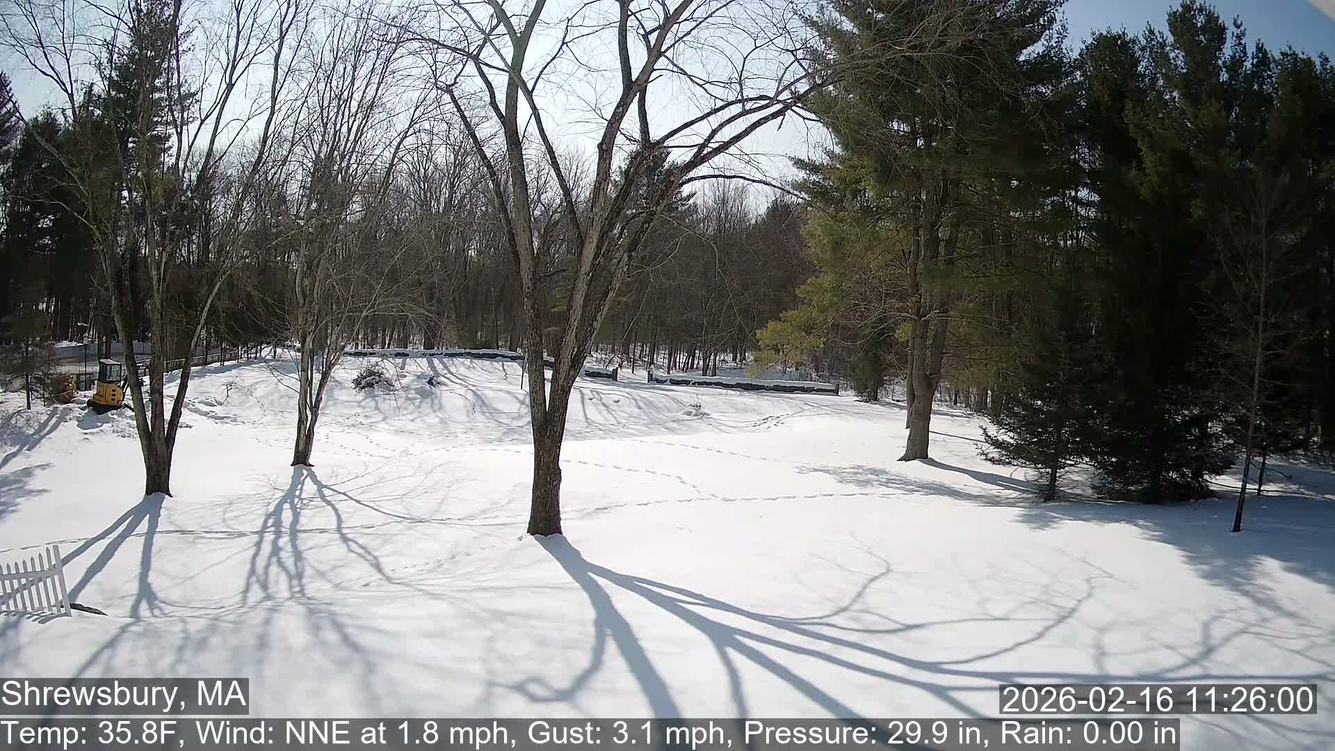 Scenic Pond and Trees Live Cam - Shrewsbury, Massachusetts , USA