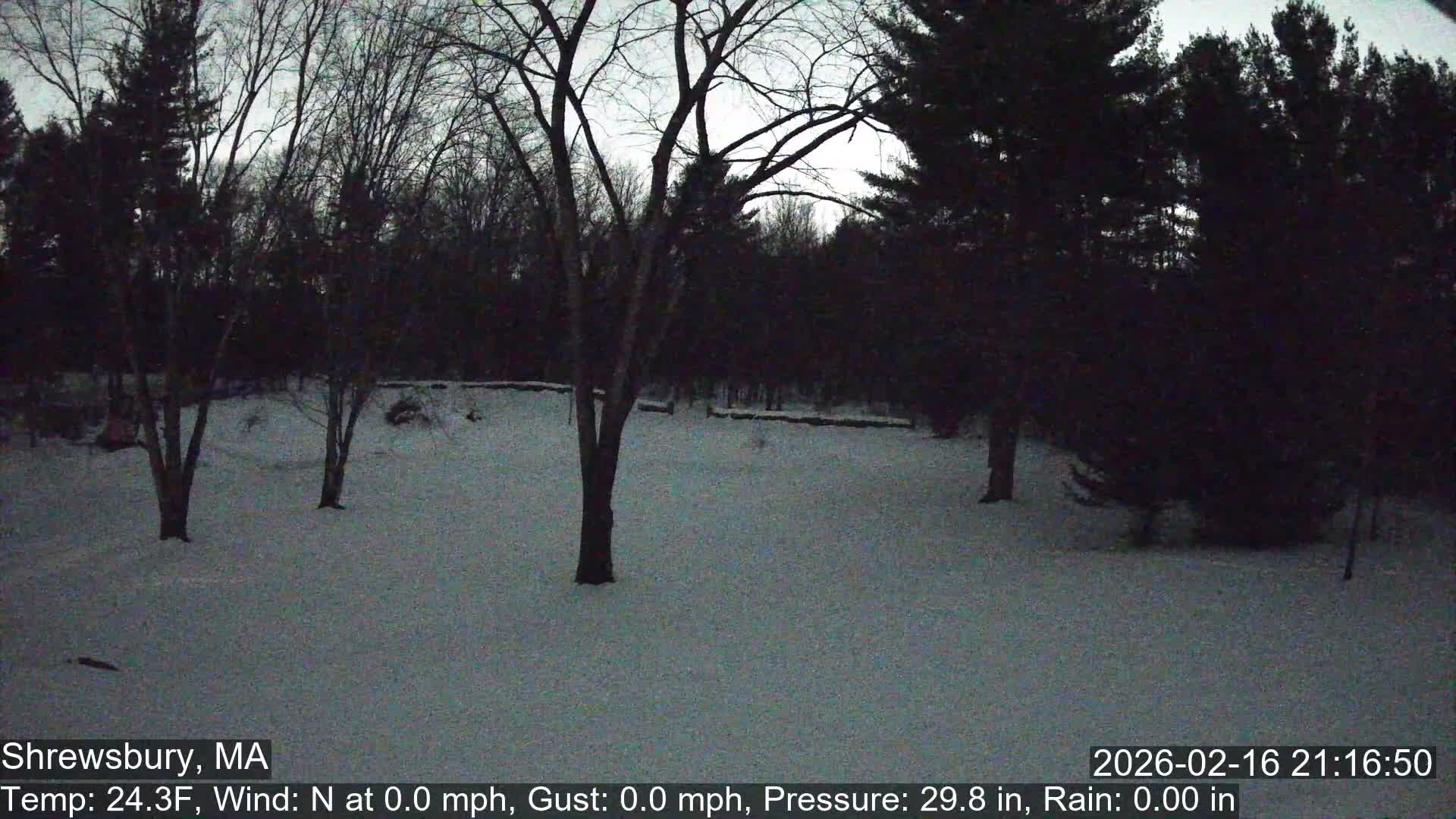 Scenic Pond and Trees Live Cam - Shrewsbury, Massachusetts , USA