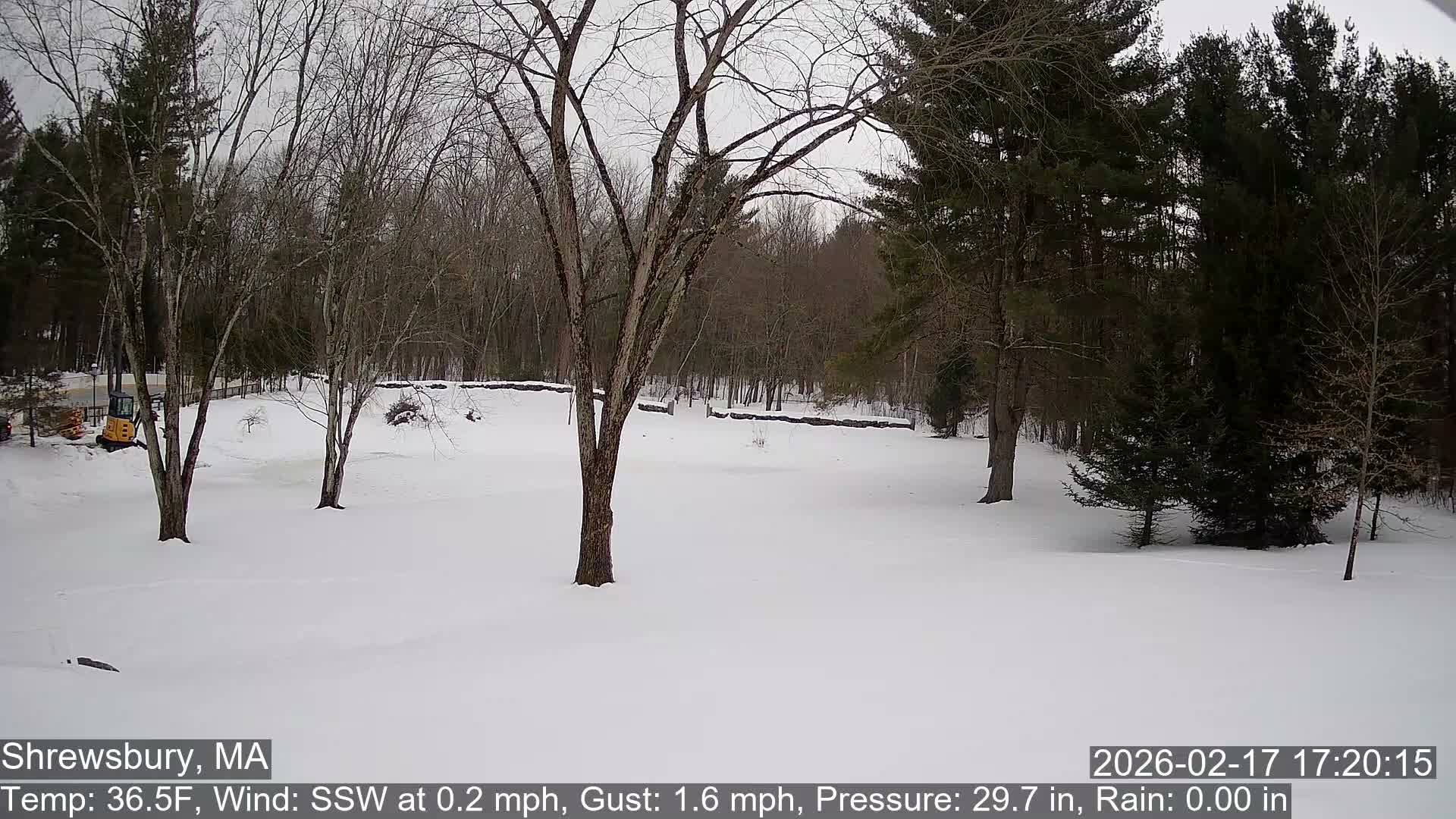 Scenic Pond and Trees Live Cam - Shrewsbury, Massachusetts , USA