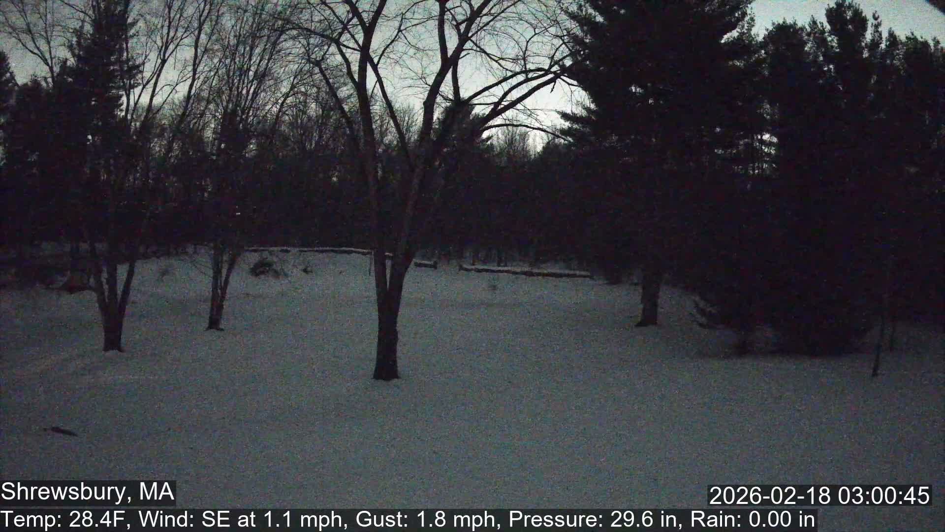 Scenic Pond and Trees Live Cam - Shrewsbury, Massachusetts , USA
