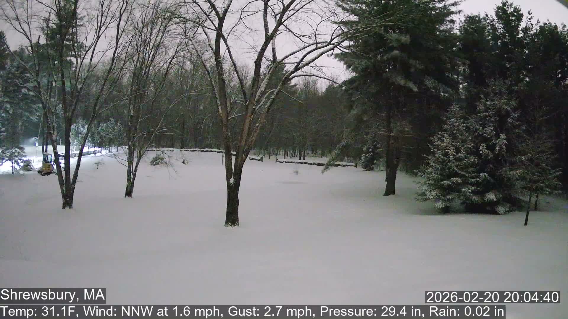Scenic Pond and Trees Live Cam - Shrewsbury, Massachusetts , USA