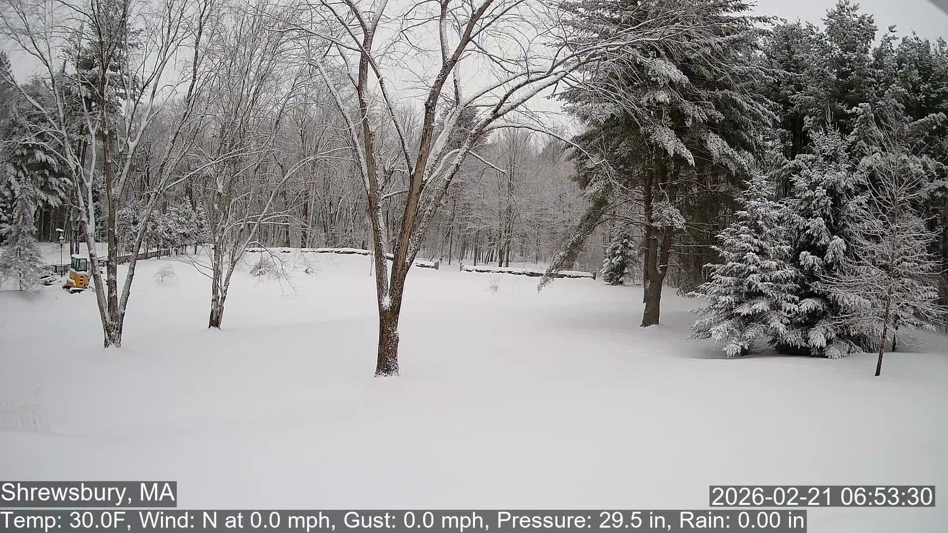 Scenic Pond and Trees Live Cam - Shrewsbury, Massachusetts , USA