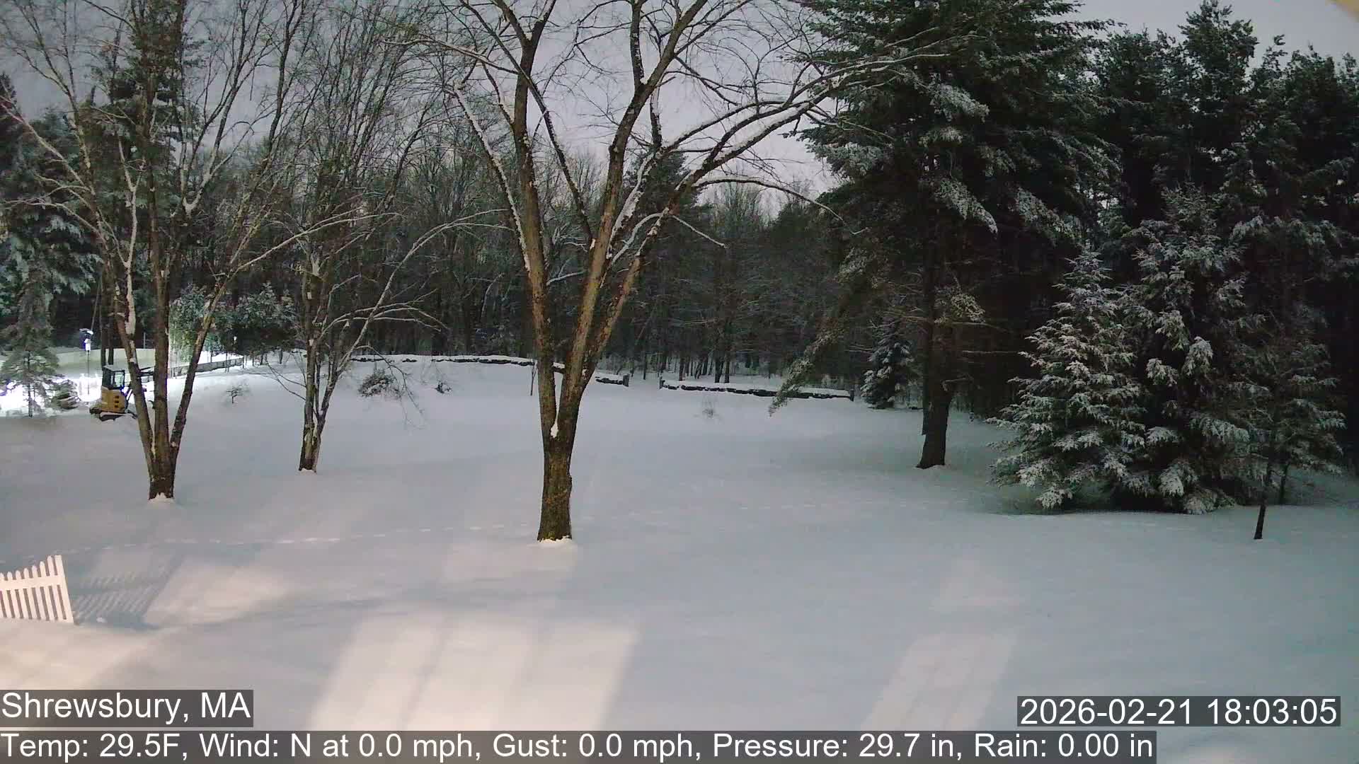 Scenic Pond and Trees Live Cam - Shrewsbury, Massachusetts , USA