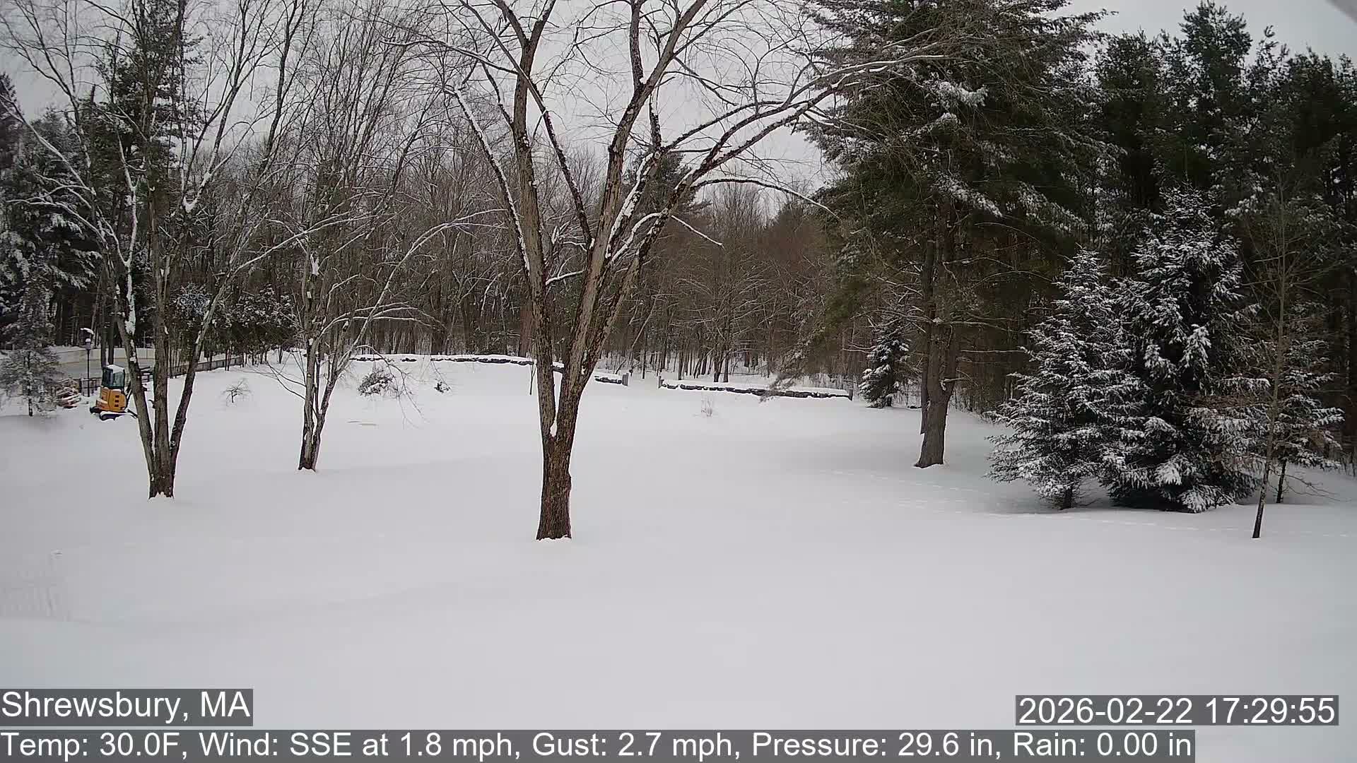 Scenic Pond and Trees Live Cam - Shrewsbury, Massachusetts , USA