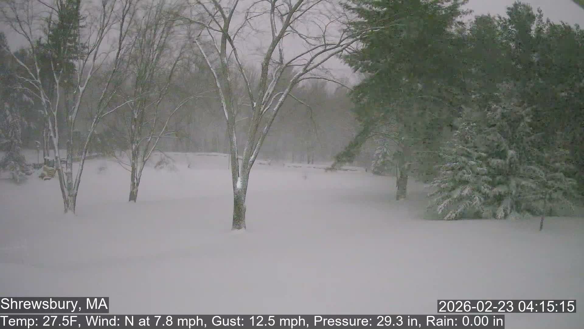 Scenic Pond and Trees Live Cam - Shrewsbury, Massachusetts , USA