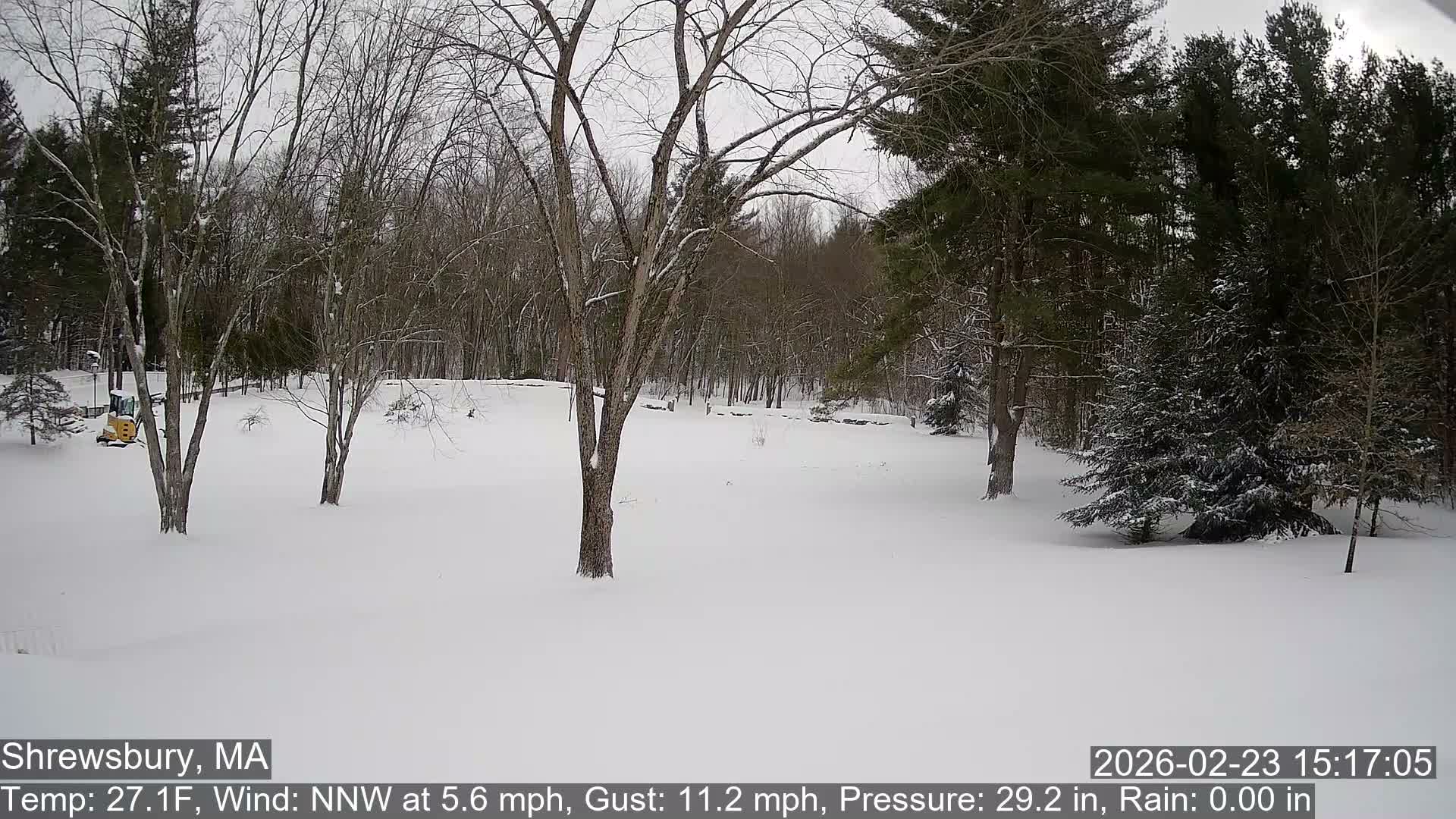 Scenic Pond and Trees Live Cam - Shrewsbury, Massachusetts , USA