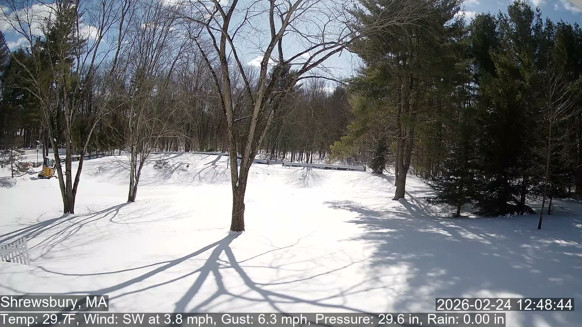 Scenic Pond and Trees Live Cam - Shrewsbury, Massachusetts , USA