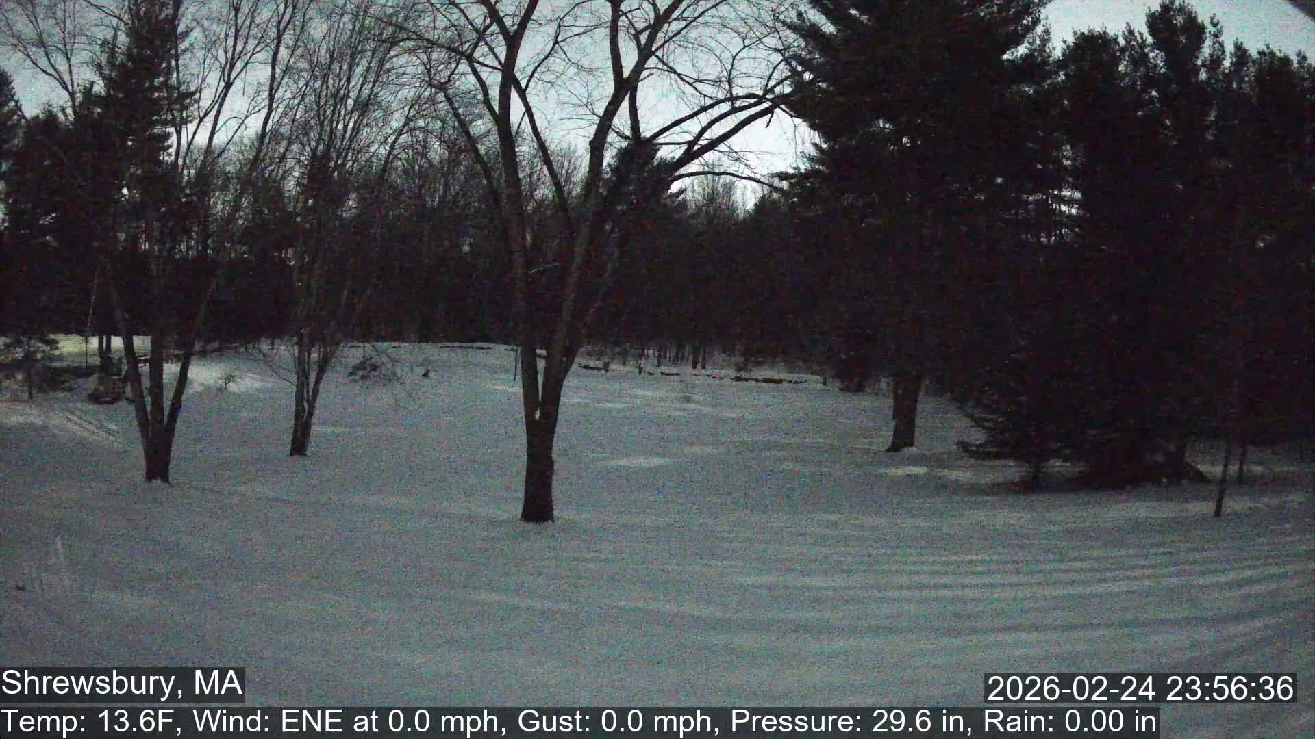 Scenic Pond and Trees Live Cam - Shrewsbury, Massachusetts , USA