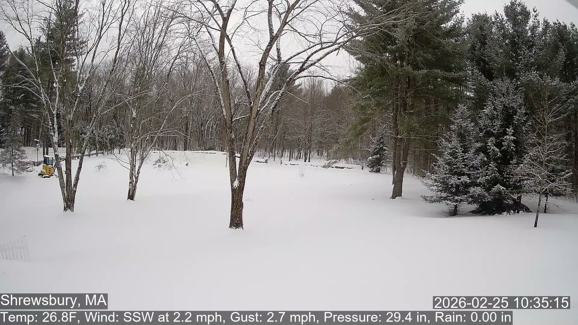Scenic Pond and Trees Live Cam - Shrewsbury, Massachusetts , USA