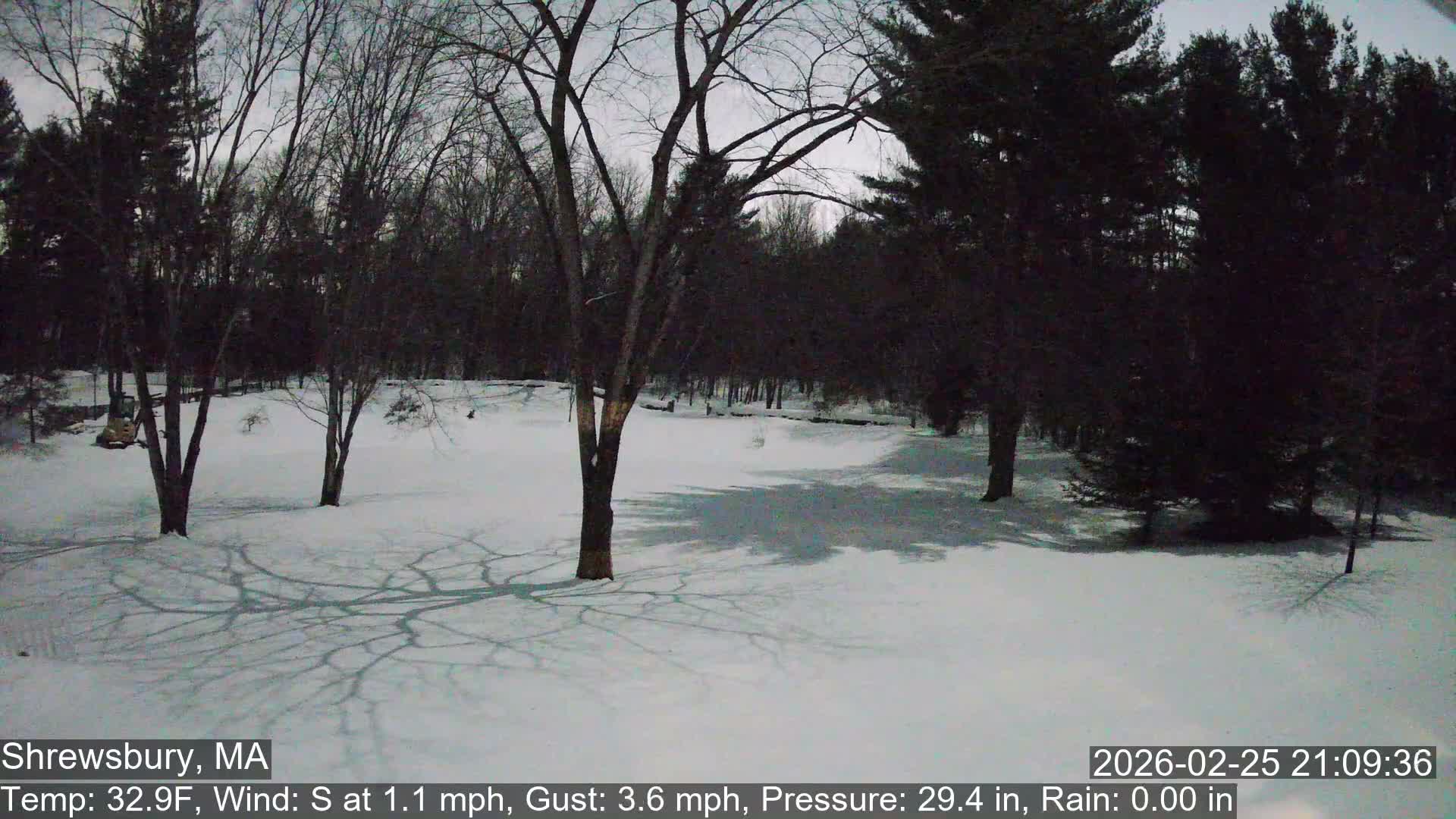 Scenic Pond and Trees Live Cam - Shrewsbury, Massachusetts , USA