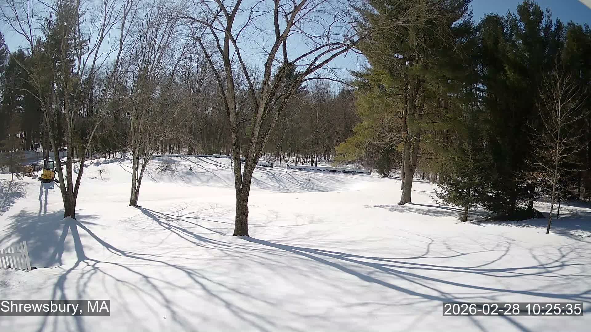 Scenic Pond and Trees Live Cam - Shrewsbury, Massachusetts , USA