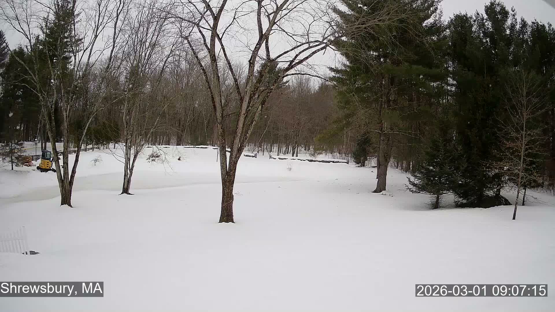 Scenic Pond and Trees Live Cam - Shrewsbury, Massachusetts , USA