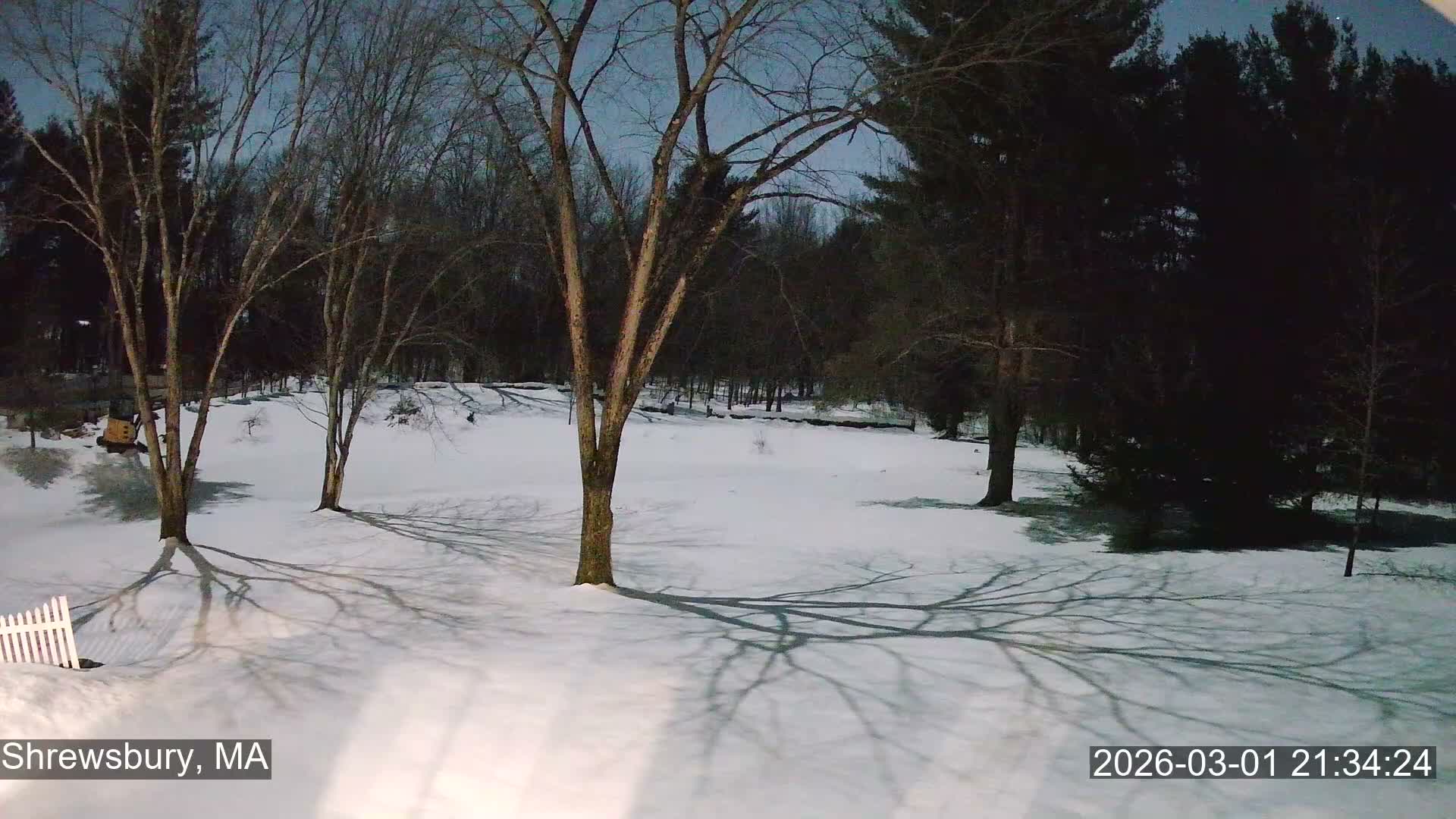 Scenic Pond and Trees Live Cam - Shrewsbury, Massachusetts , USA