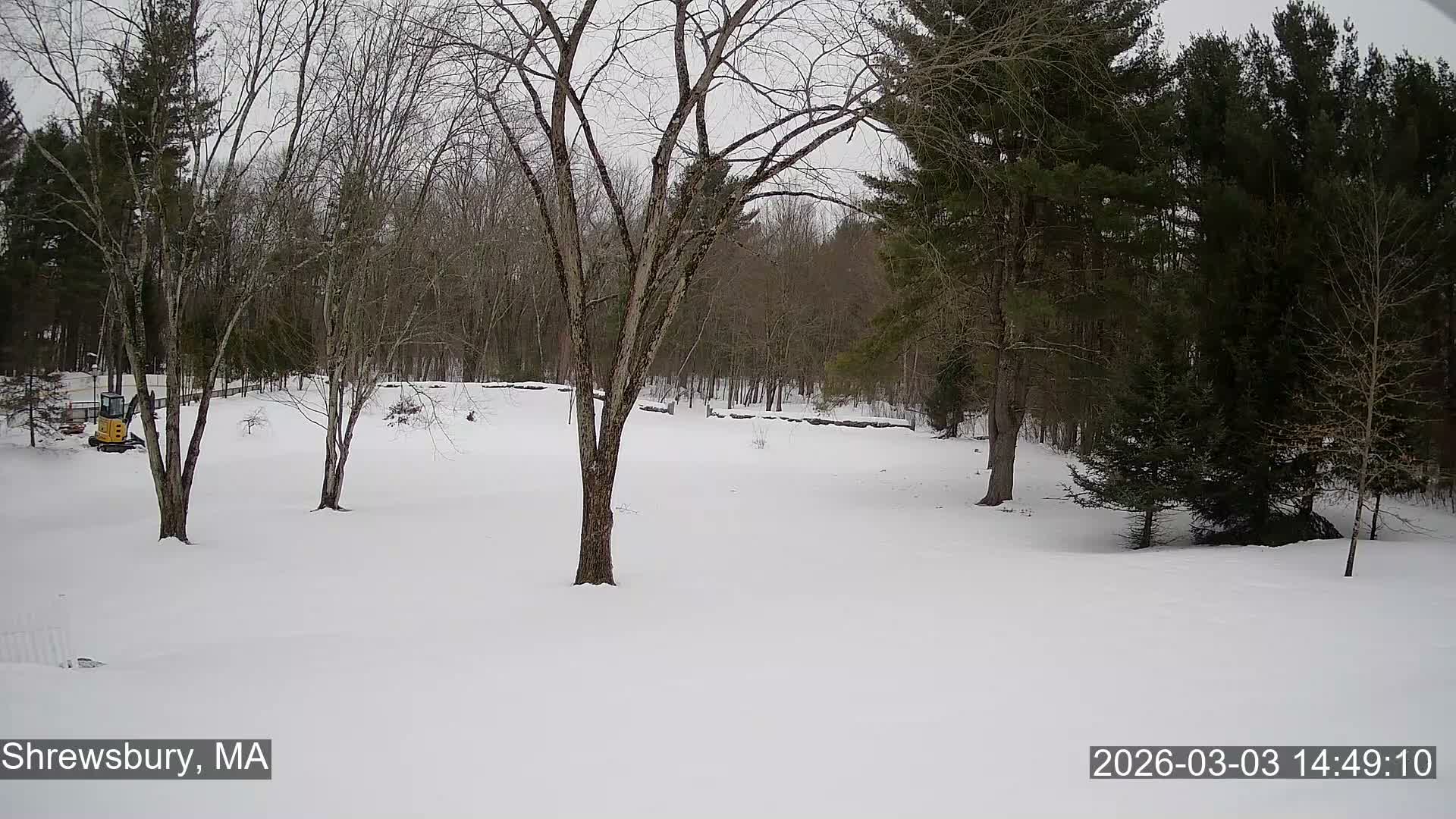 Scenic Pond and Trees Live Cam - Shrewsbury, Massachusetts , USA