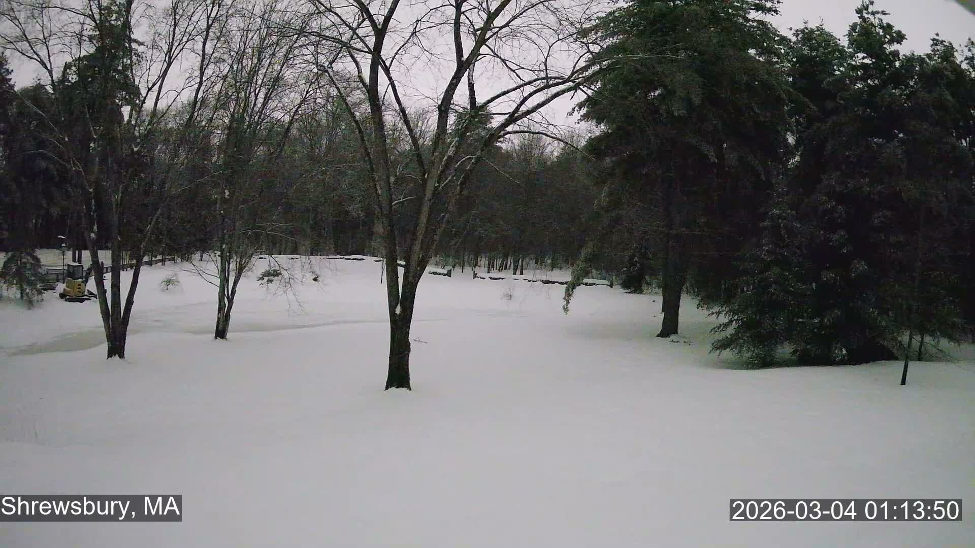 Scenic Pond and Trees Live Cam - Shrewsbury, Massachusetts , USA