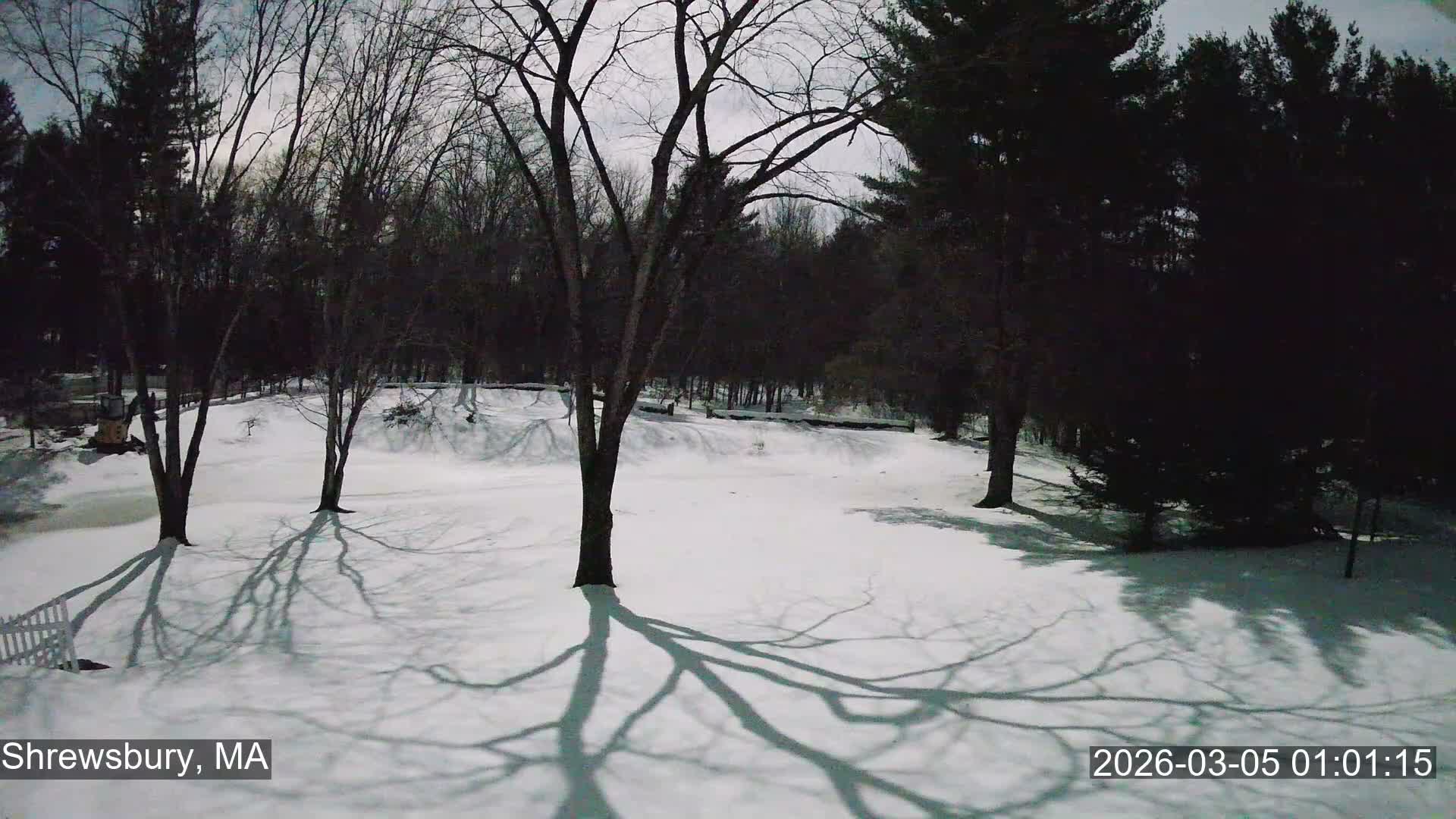Scenic Pond and Trees Live Cam - Shrewsbury, Massachusetts , USA